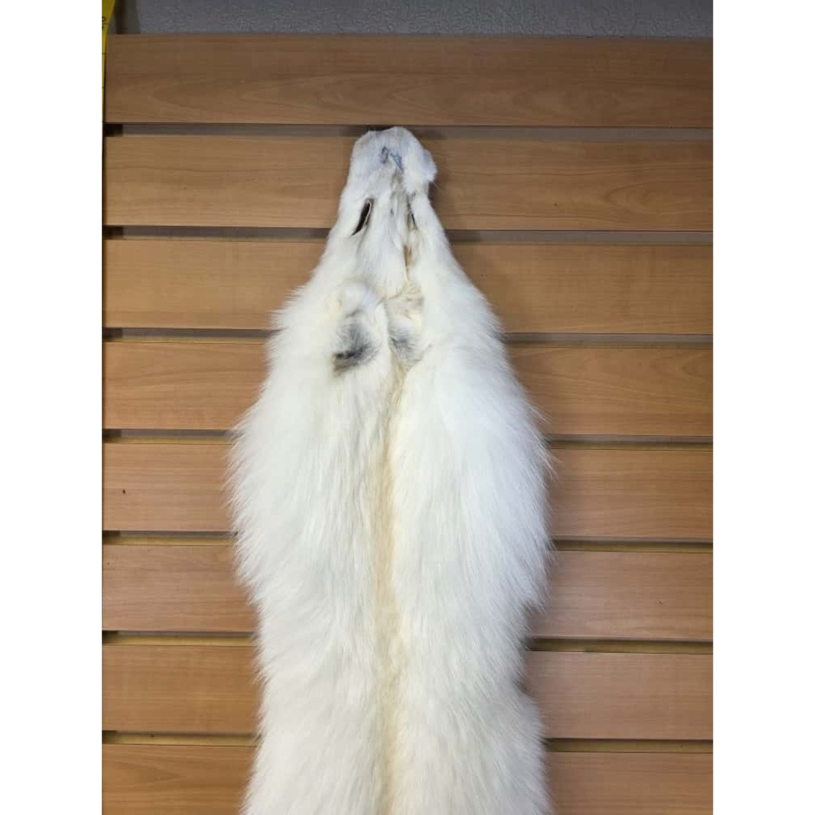 FHCM16 - Gorgeous White Ranch Fox Soft Tanned Fur