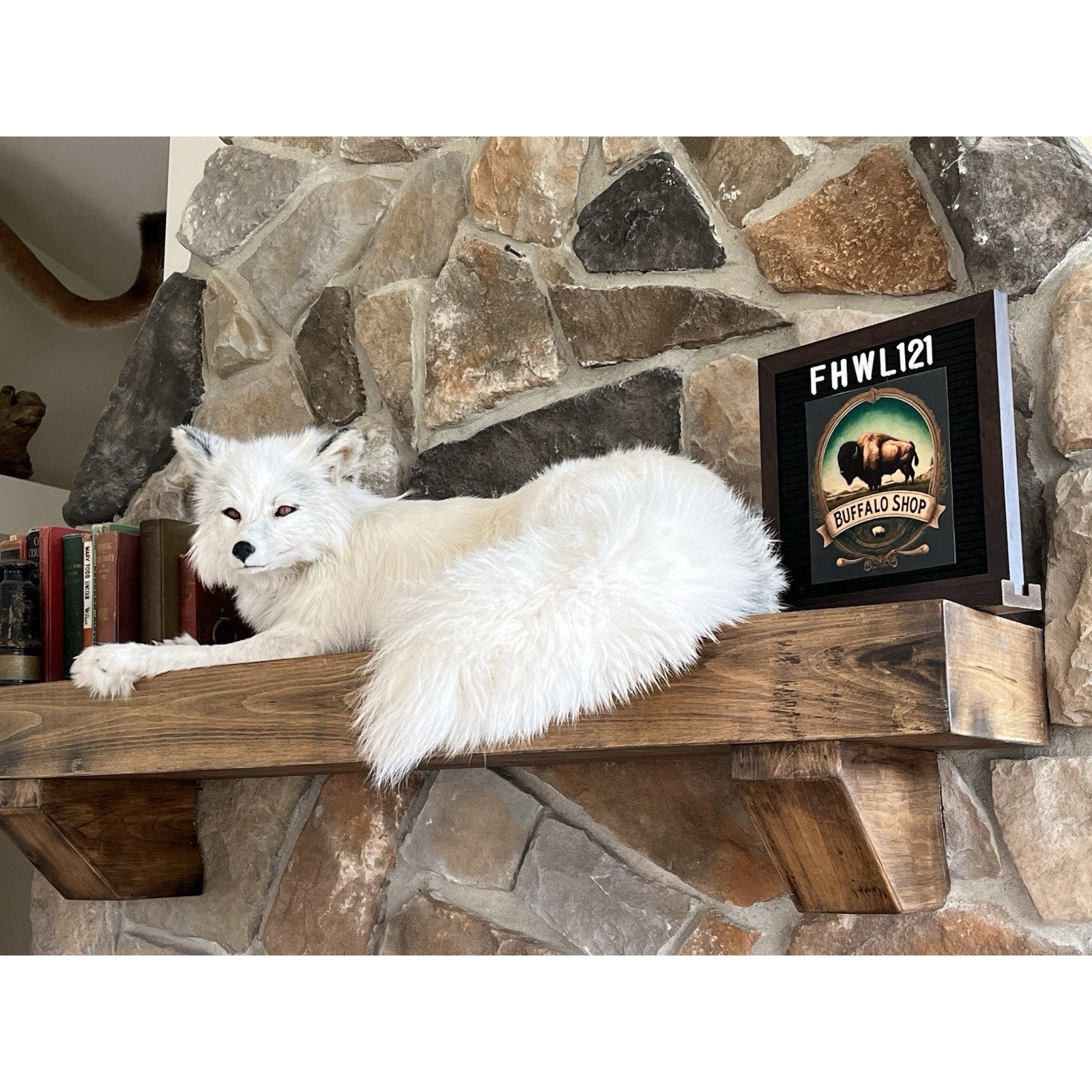 FHWL121 - White Ranch Fox Taxidermy Full Body Mount