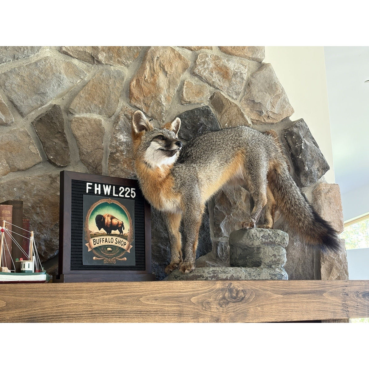 FHWL225 - Grey Fox Taxidermy Full Body Mount Cabin Camp Man Cave