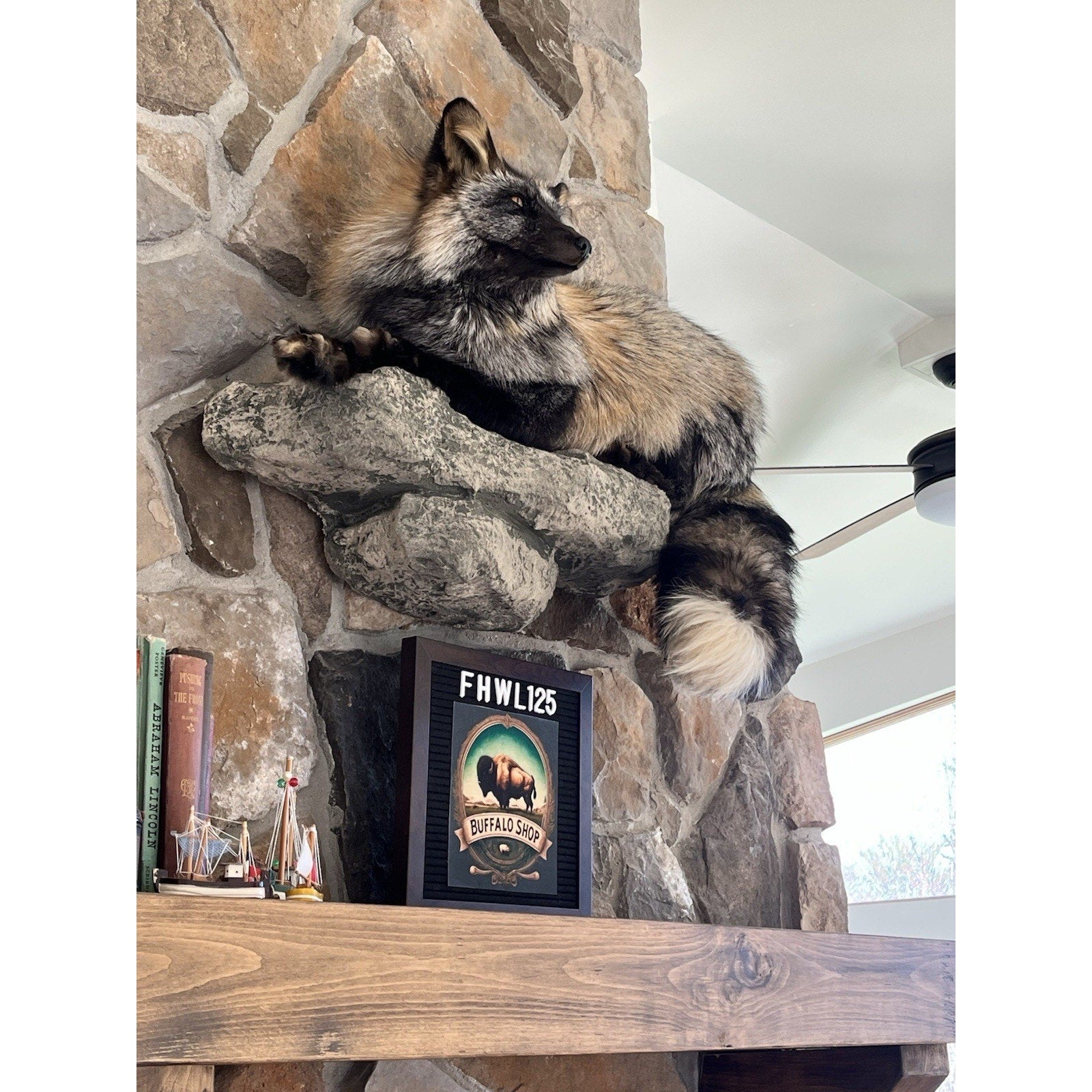 FHWL125 - Ranch Fox Taxidermy Full Body Mount