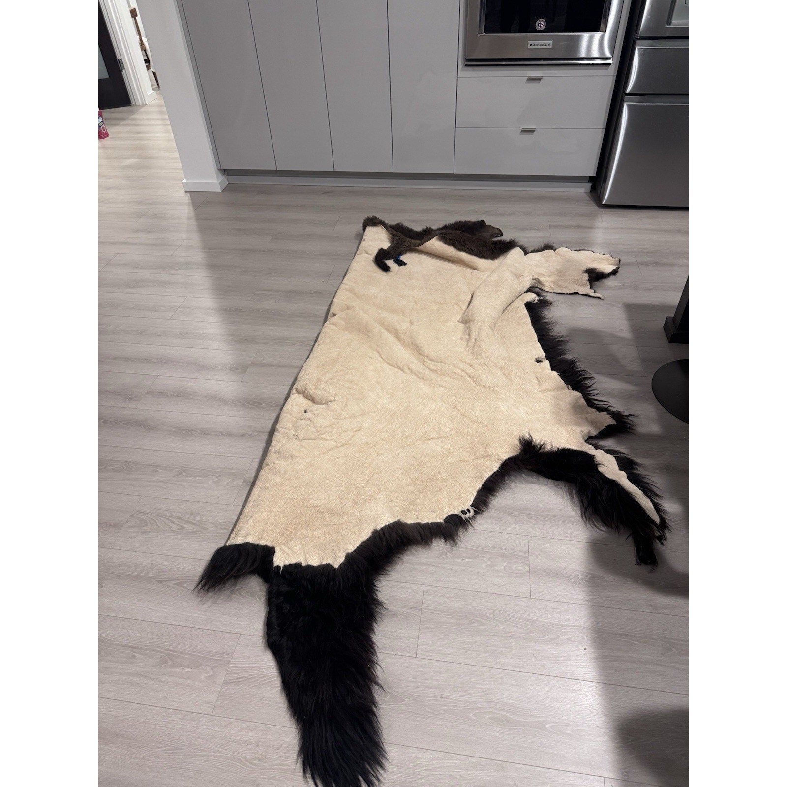 FHGUL2 - Premium Massive XXL bison Hide Rug Taxidermy Fur