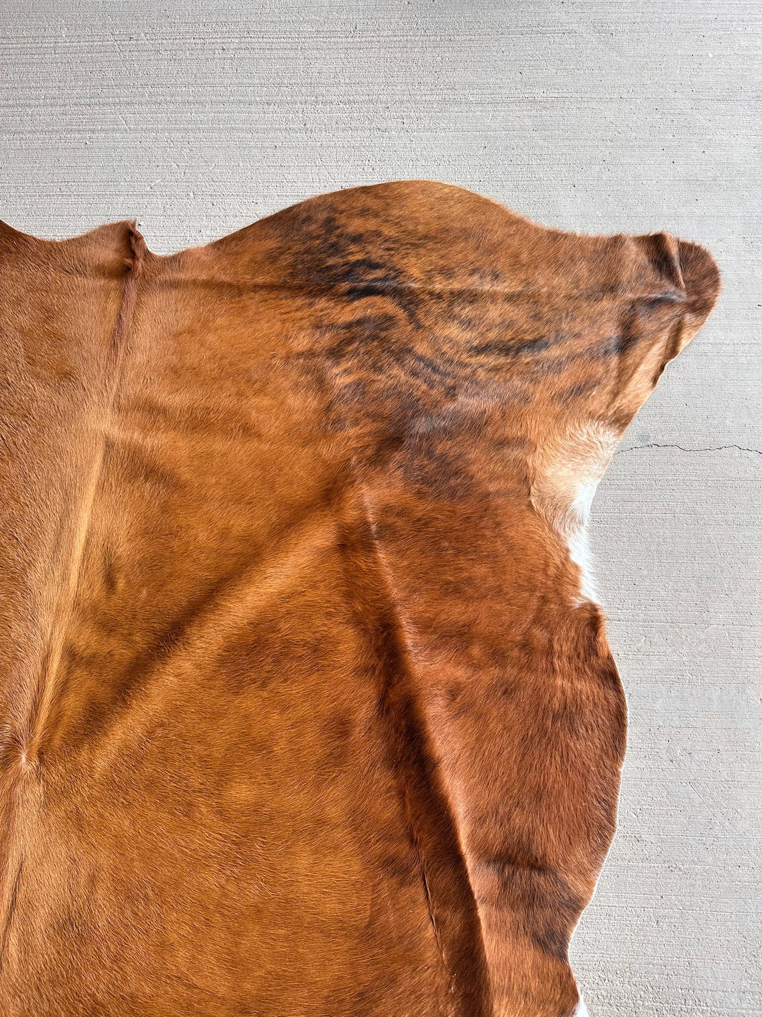 FHCOW29 - Premium Cow Hide Rugs Home Decor