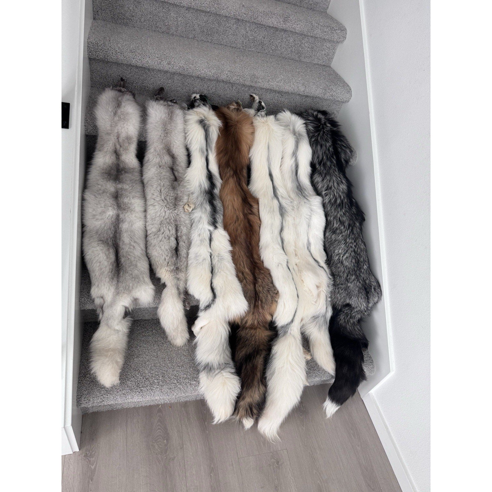 FHJAY793 - Mountable Premium Fox Full Body Hide For Taxidermy