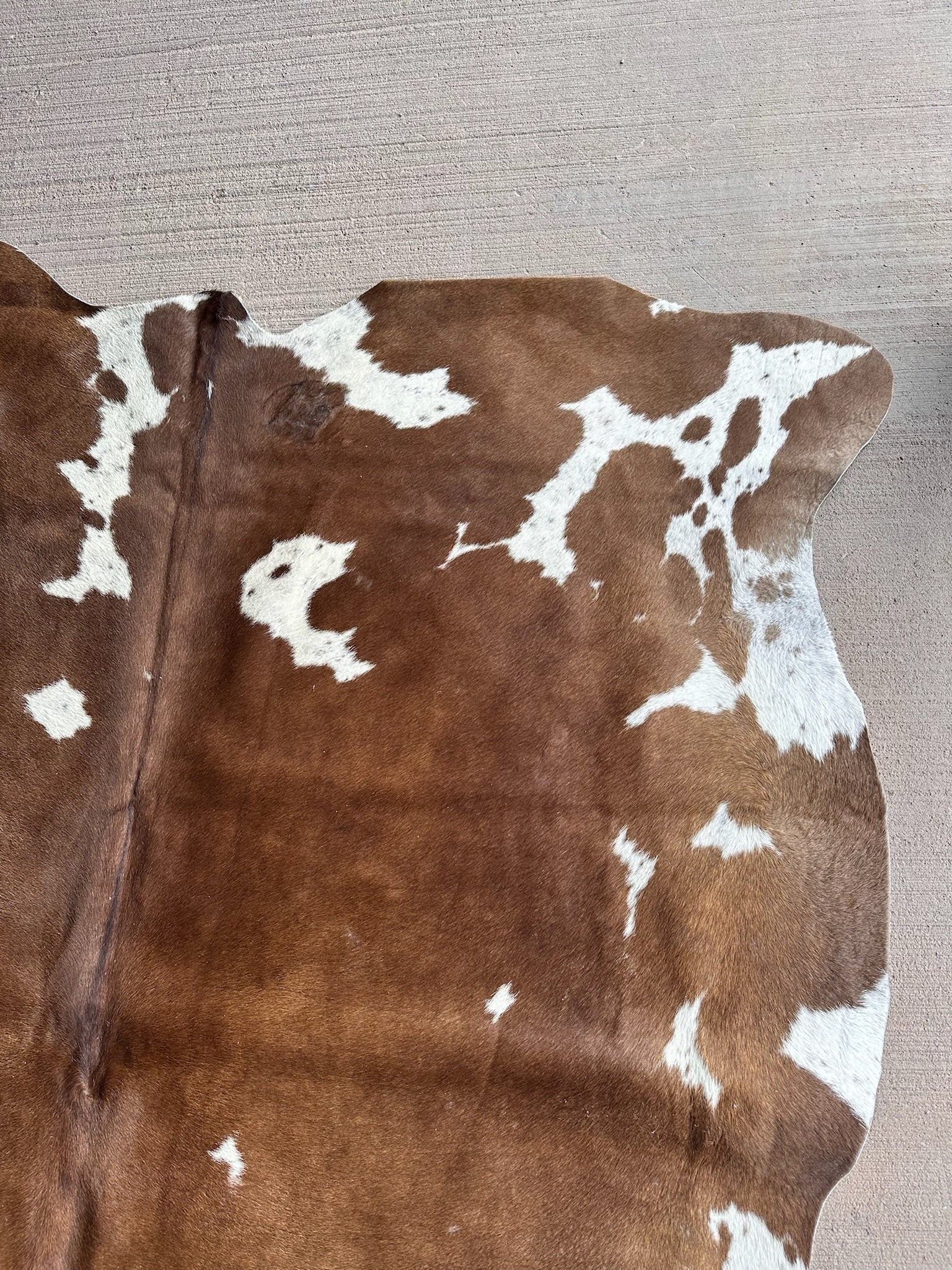FHCOW29 - Premium Cow Hide Rugs Home Decor