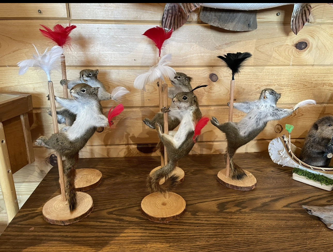 FHSQ818 - Beautiful Dancing Red Squirrel Small Animal Taxidermy Mount Art Wildlife