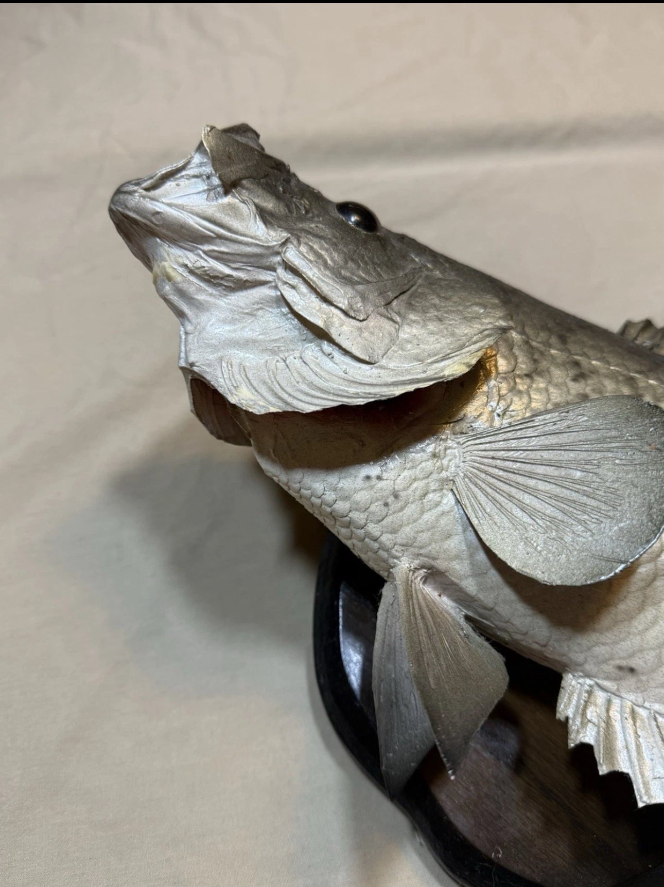 FHEB0817 - 12.5 Inch Crappie Taxidermy Mount