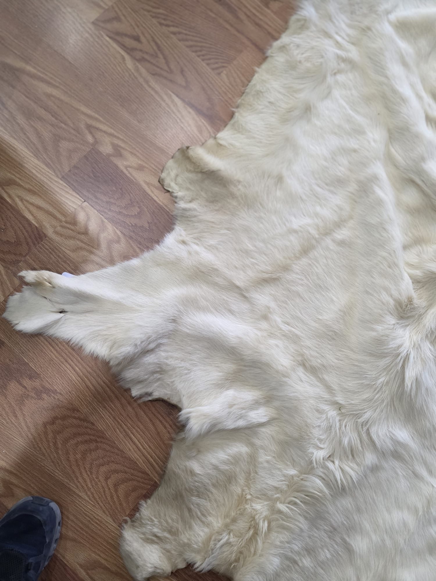 FH7829- Premium white Nordic reindeer pelt hide