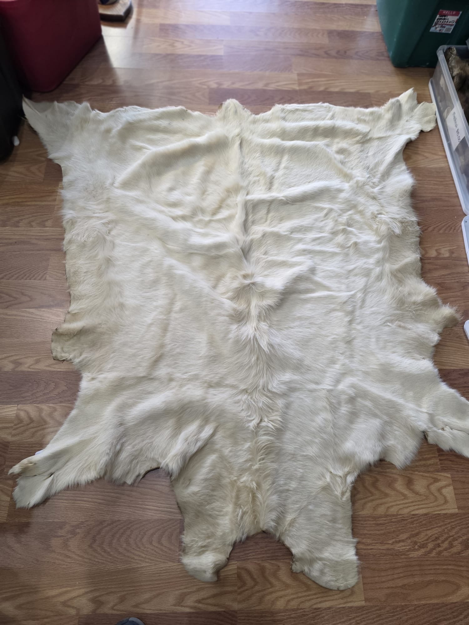 FH7829- Premium white Nordic reindeer pelt hide
