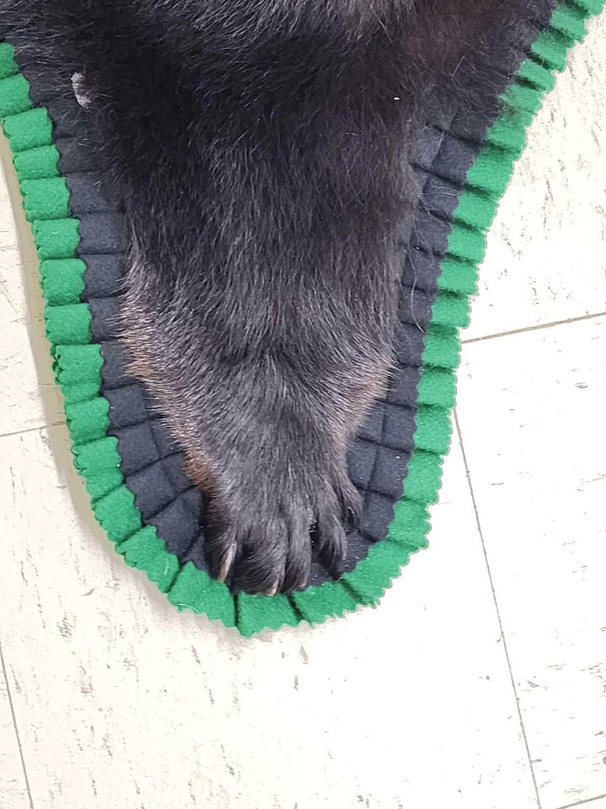 FH24k - Nice Black Bear Rug Taxidermy