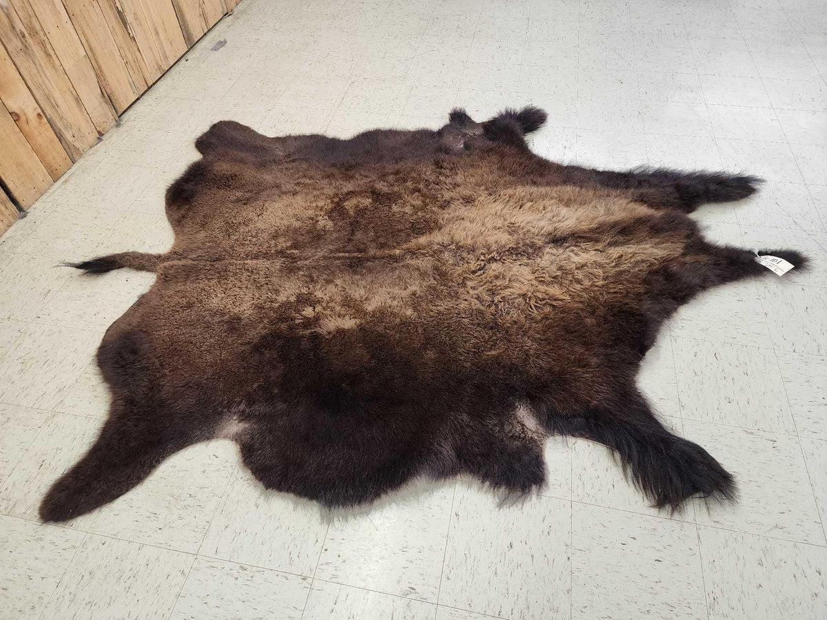 FH24l - American Bison Buffalo Soft Tanned Robe Taxidermy