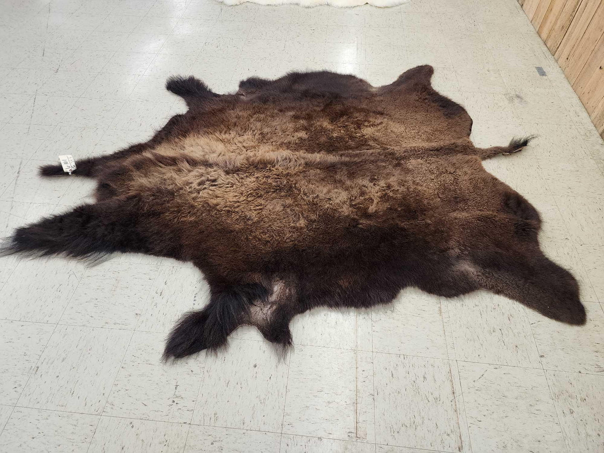 FH24l - American Bison Buffalo Soft Tanned Robe Taxidermy