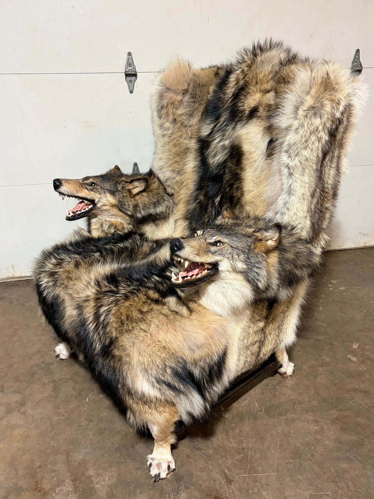 FHWL247 - real wolf chair taxidermy fur man cave