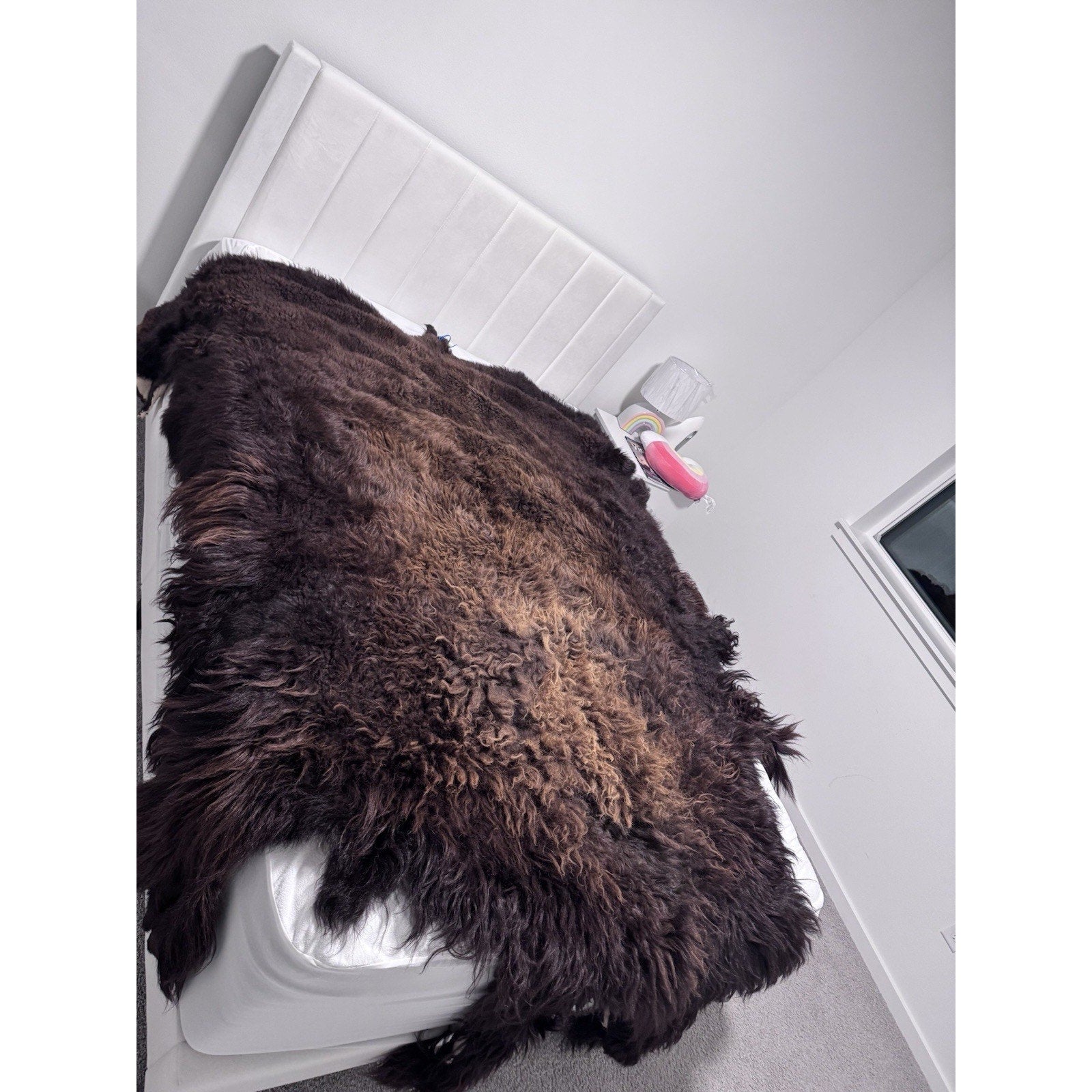 FHGUL1 - Premium Massive XXL bison Hide Rug Taxidermy Fur