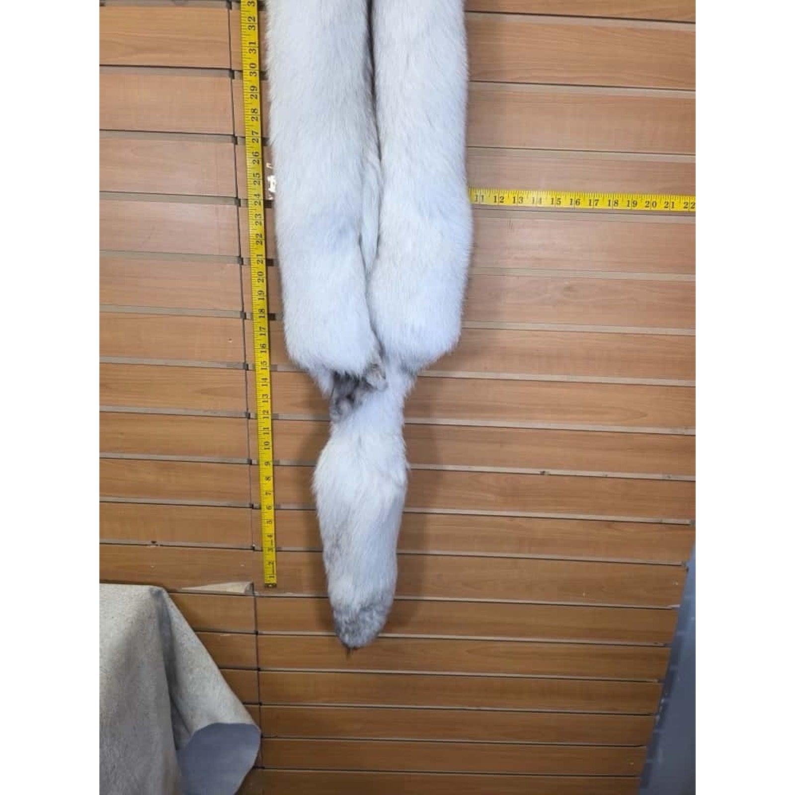 FHCM7- Blue Ranch Fox Soft Tanned Furs Taxidermy