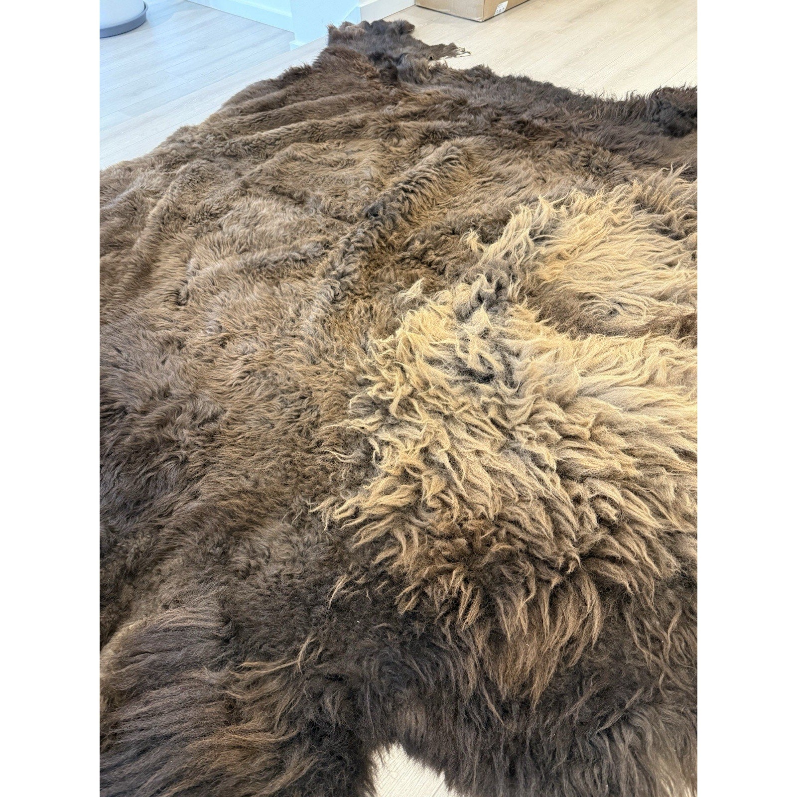 FHGUL5 - Premium Massive XXL bison Hide Rug Taxidermy Fur