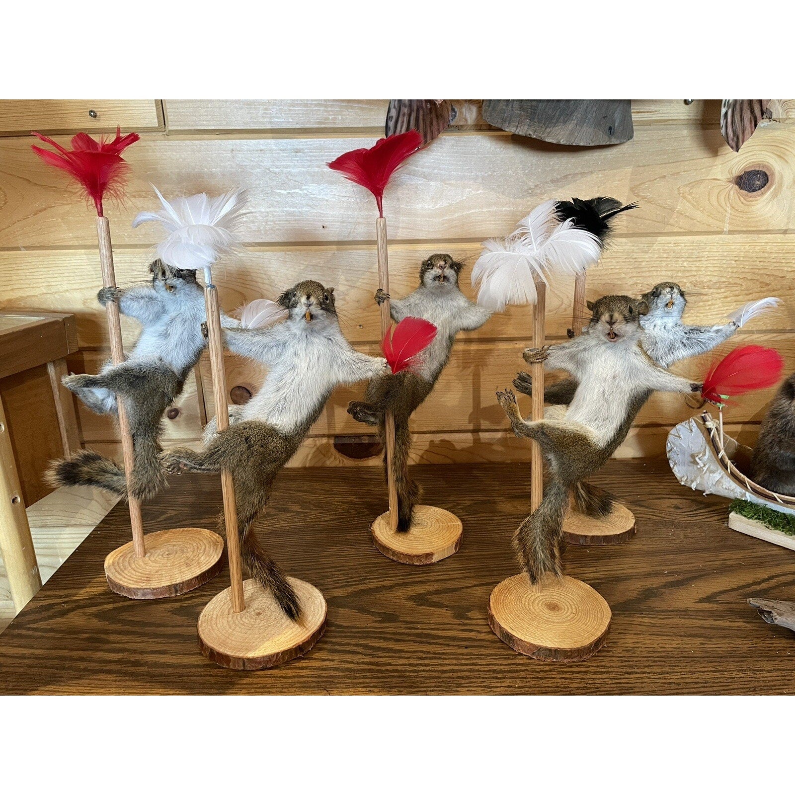 FHSUZ24 - Beautiful Dancing stripping Red Squirrel Small Animal Taxidermy Mount Art Wildlife