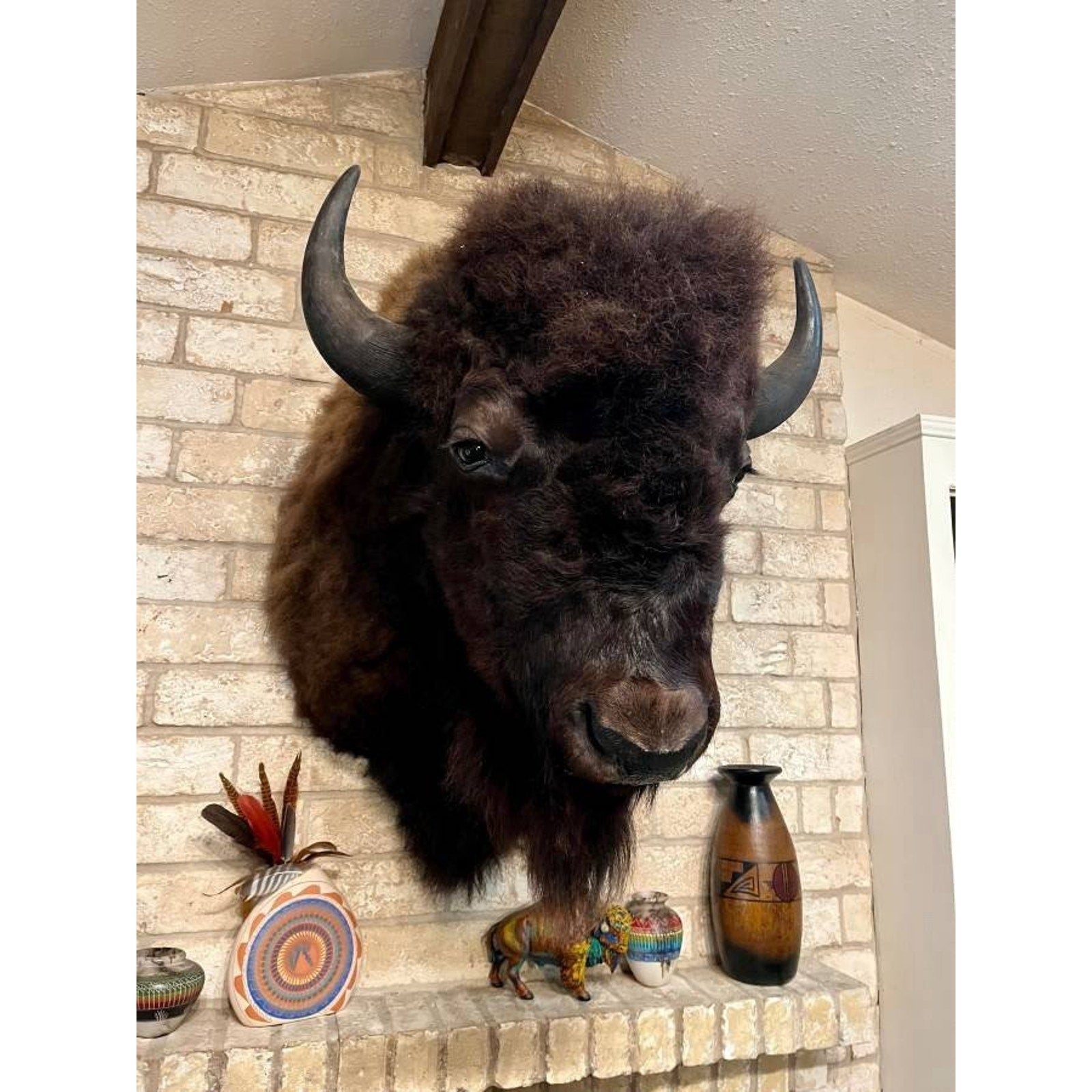 FHBISHOP1 - Gorgeous Mounted Buffalo / Bison Taxidermy Head Shoulder Mount