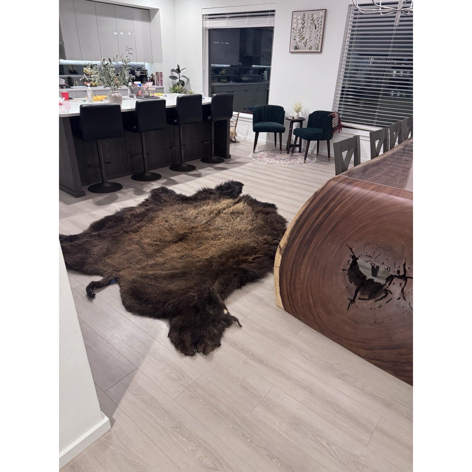 FHGUL2 - Premium Massive XXL bison Hide Rug Taxidermy Fur