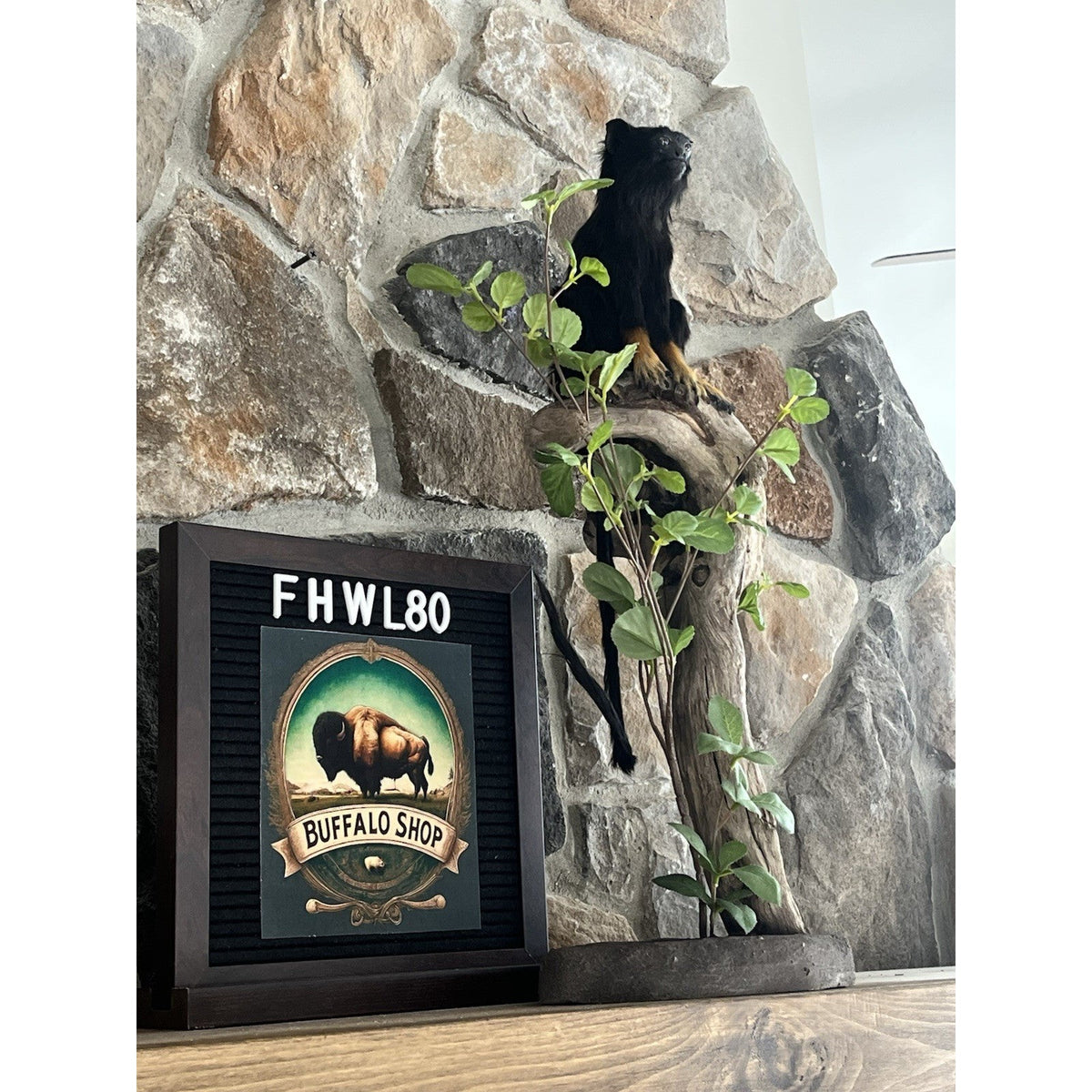FHBB27 - red-handed tamarin Monkey (Saguinus midas) Taxidermy Mount