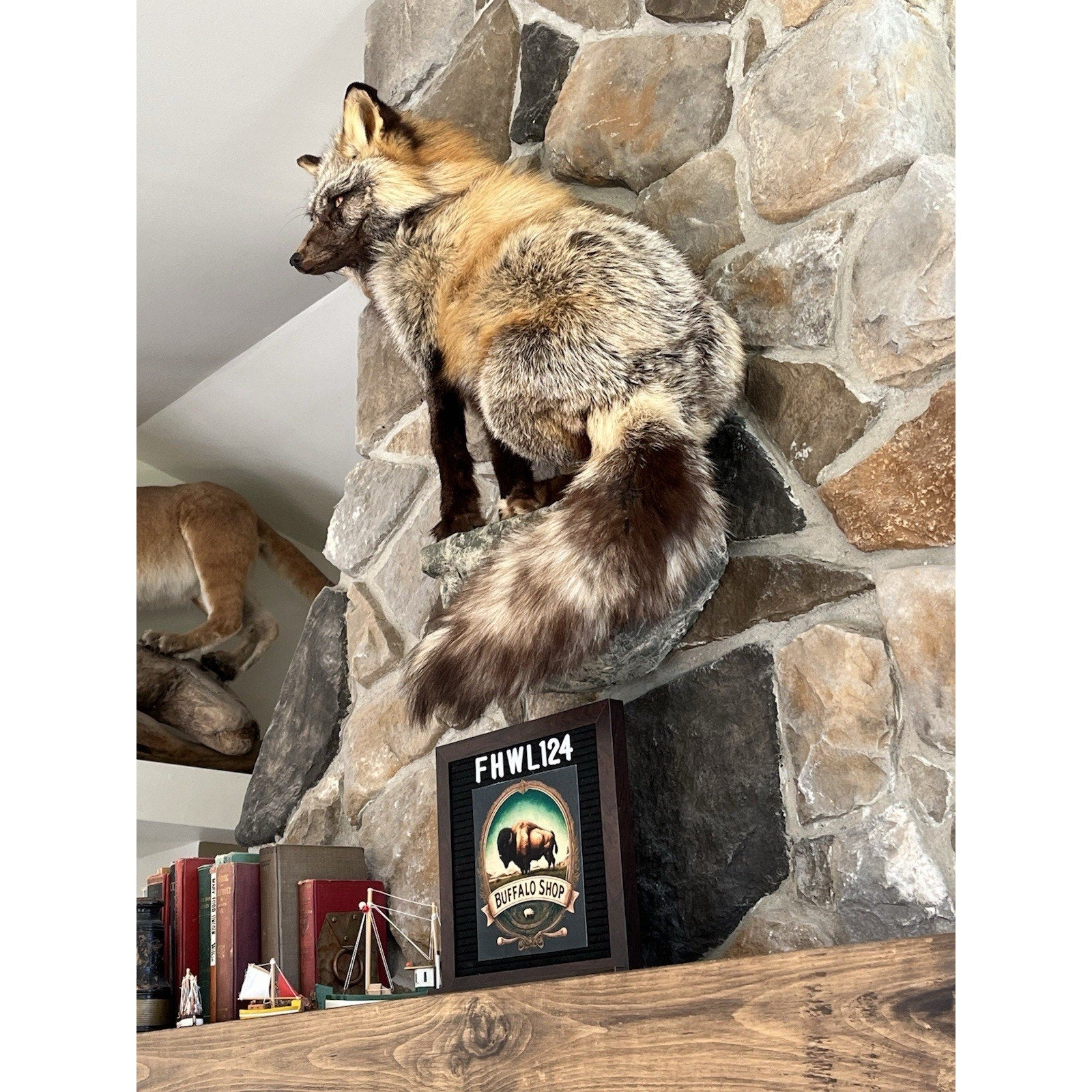 FHWL124 - Ranch Fox Taxidermy Full Body Mount