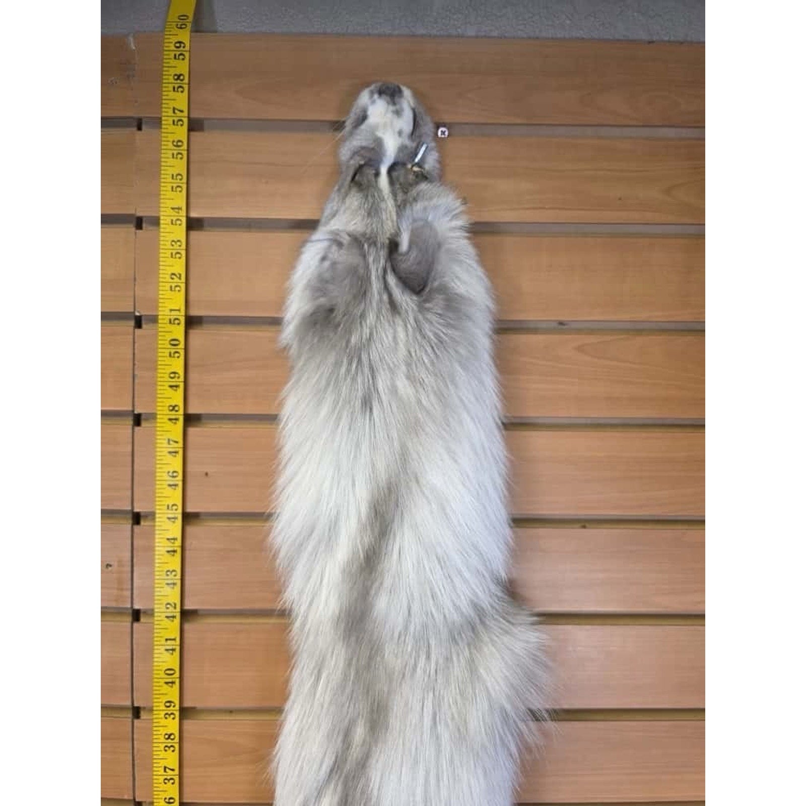 FHCM13 - Ranch Fox Soft Tanned Furs Taxidermy