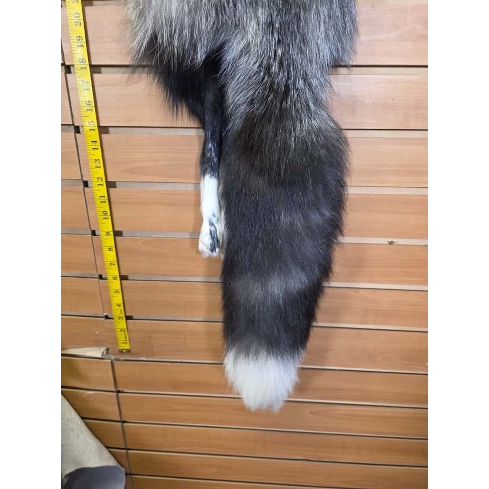 FHCM14 - Gorgeous Ranch Fox Soft Tanned Furs Taxidermy