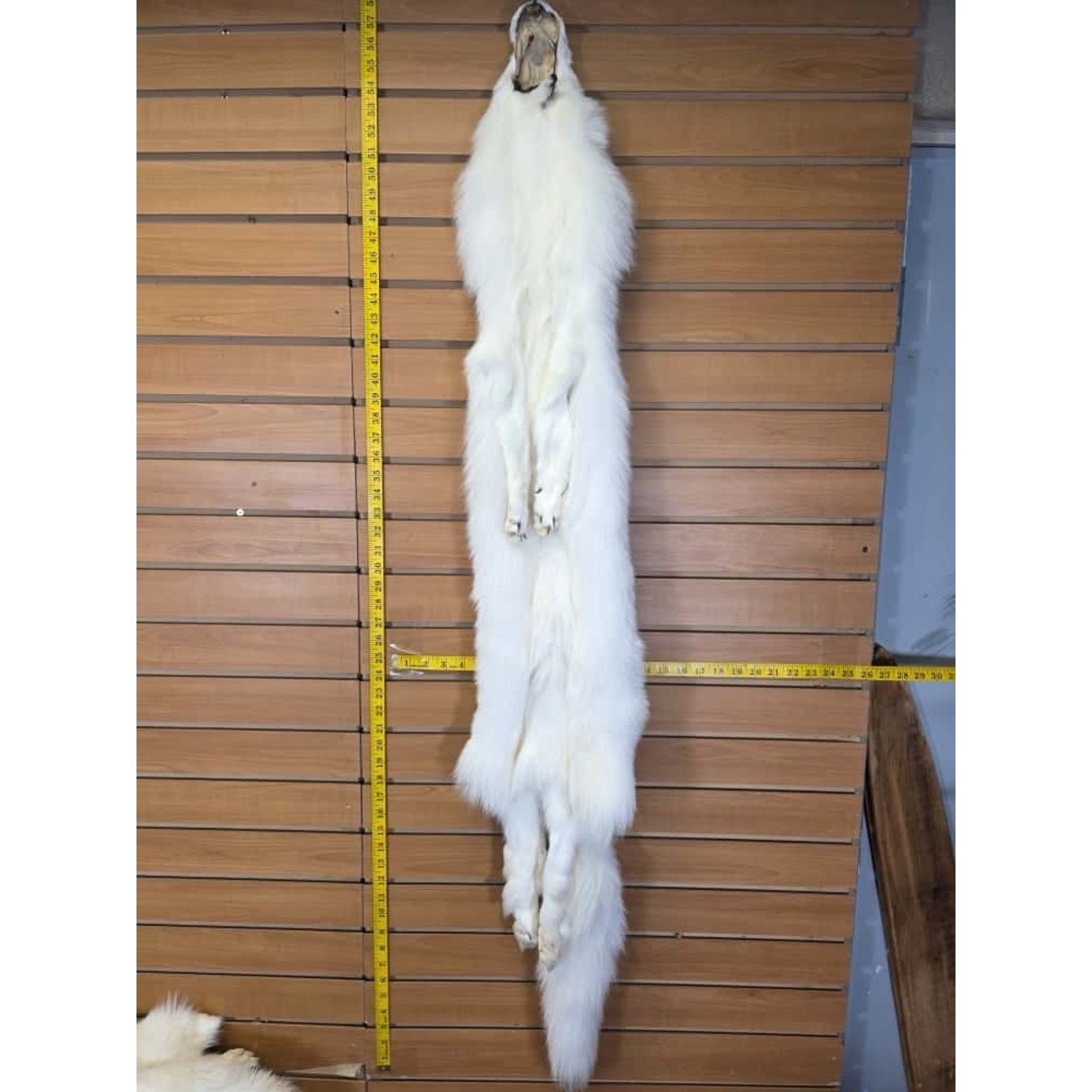 FHCM16 - Gorgeous White Ranch Fox Soft Tanned Fur
