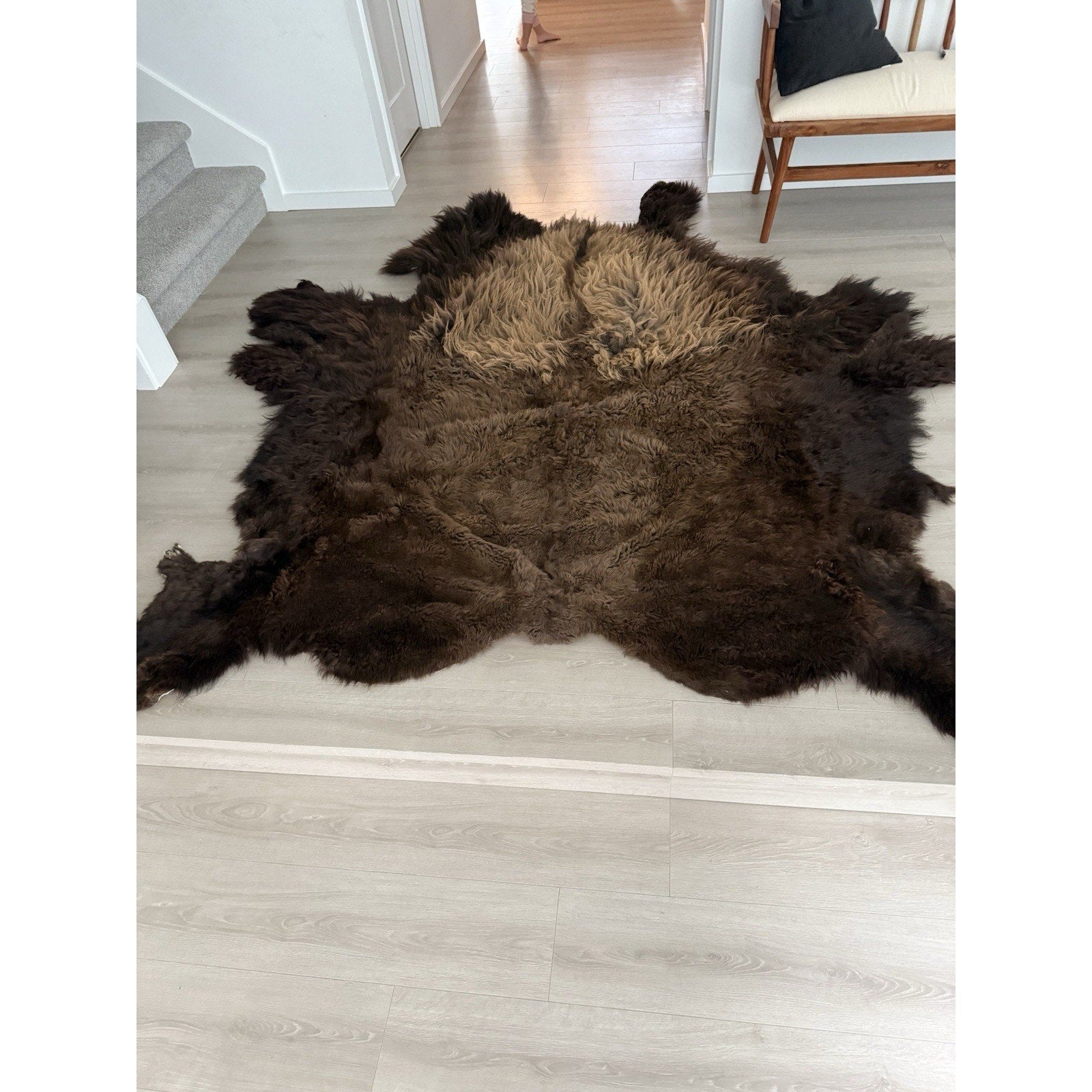 FHGUL5 - Premium Massive XXL bison Hide Rug Taxidermy Fur