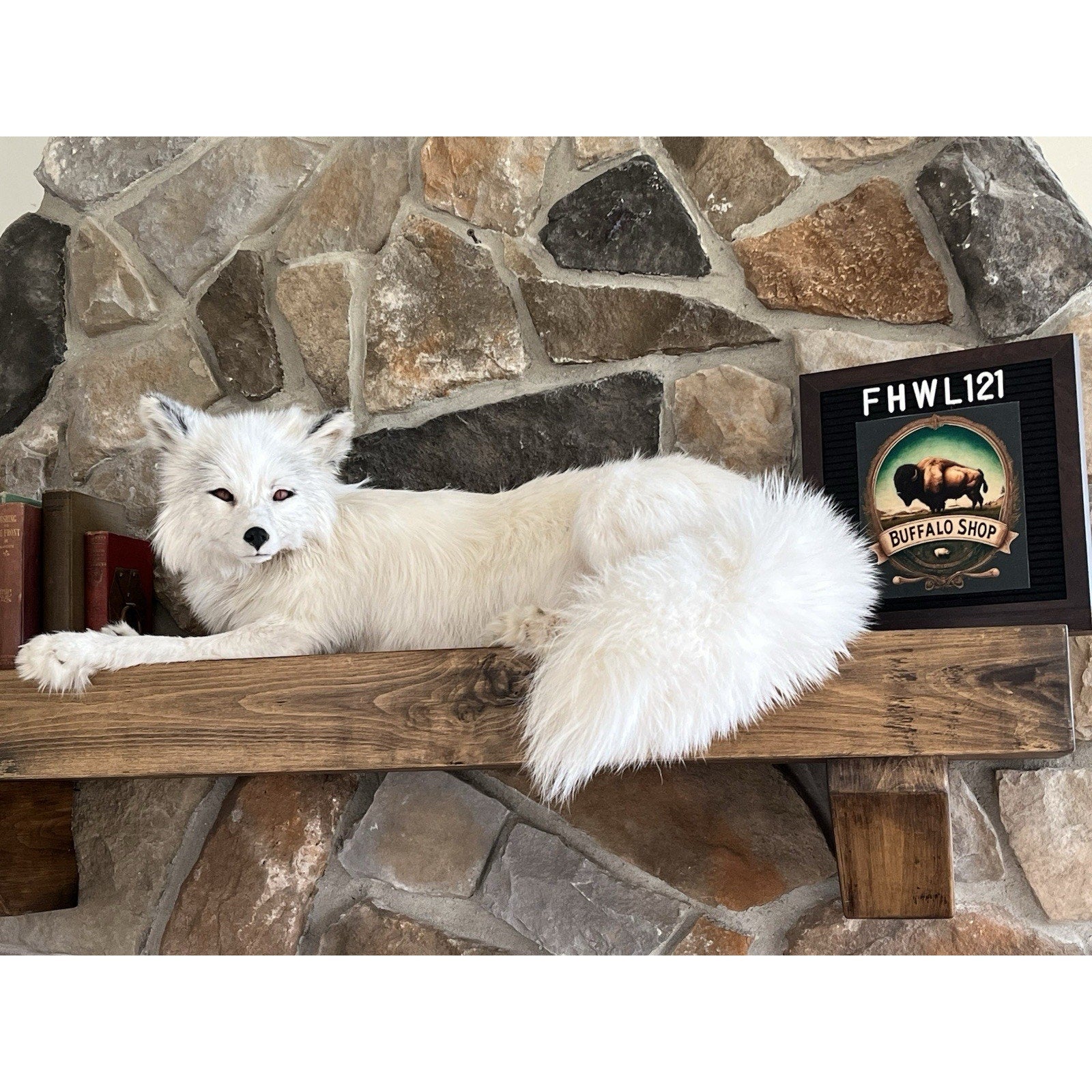 FHWL121 - White Ranch Fox Taxidermy Full Body Mount