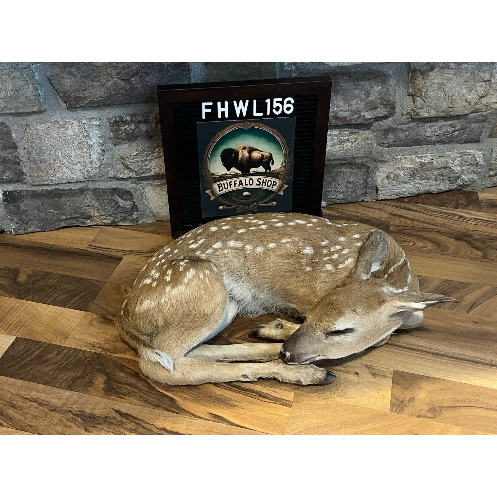 FHWL156 - Fawn Lifesize Taxidermy Mount Free Standing