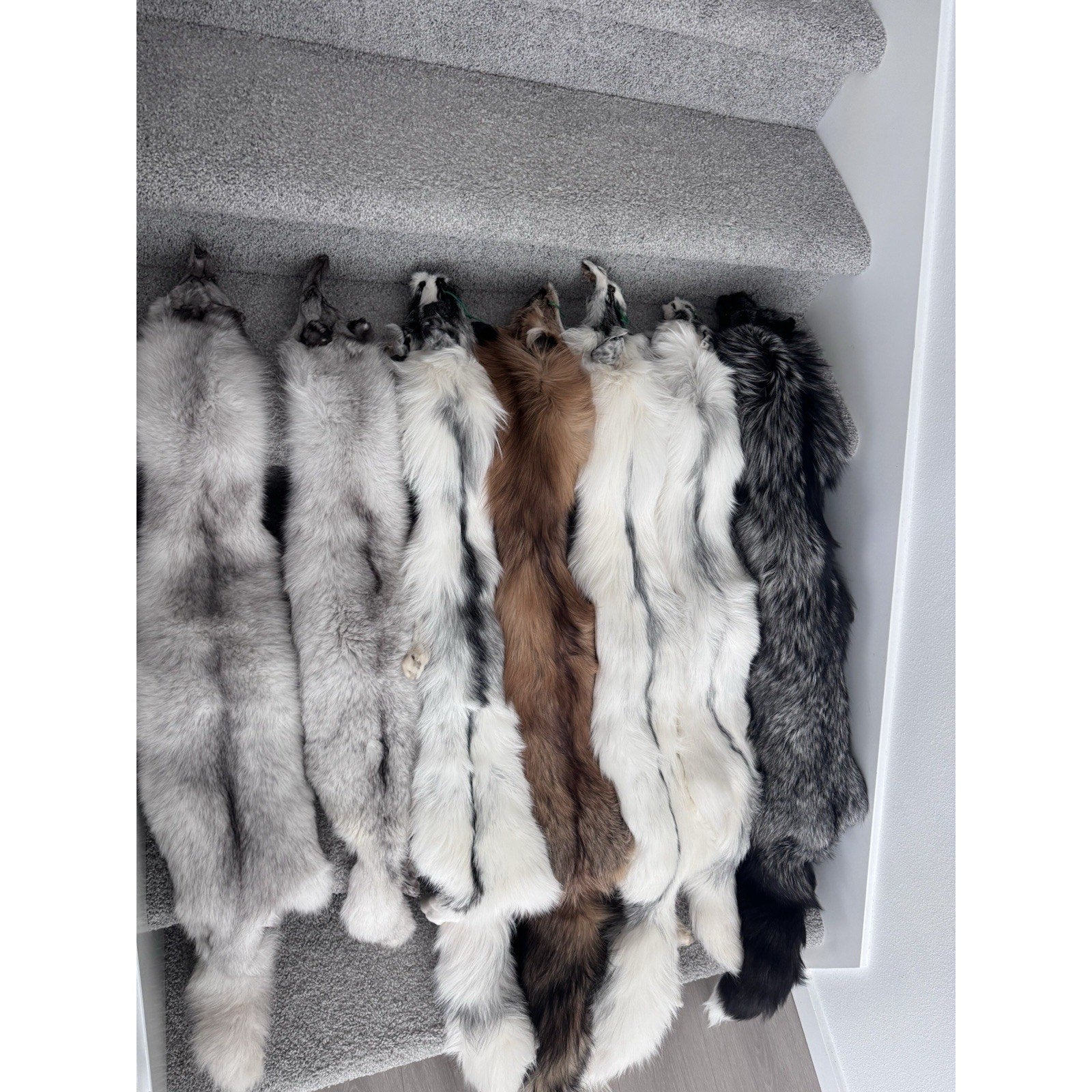 FHJAY793 - Mountable Premium Fox Full Body Hide For Taxidermy