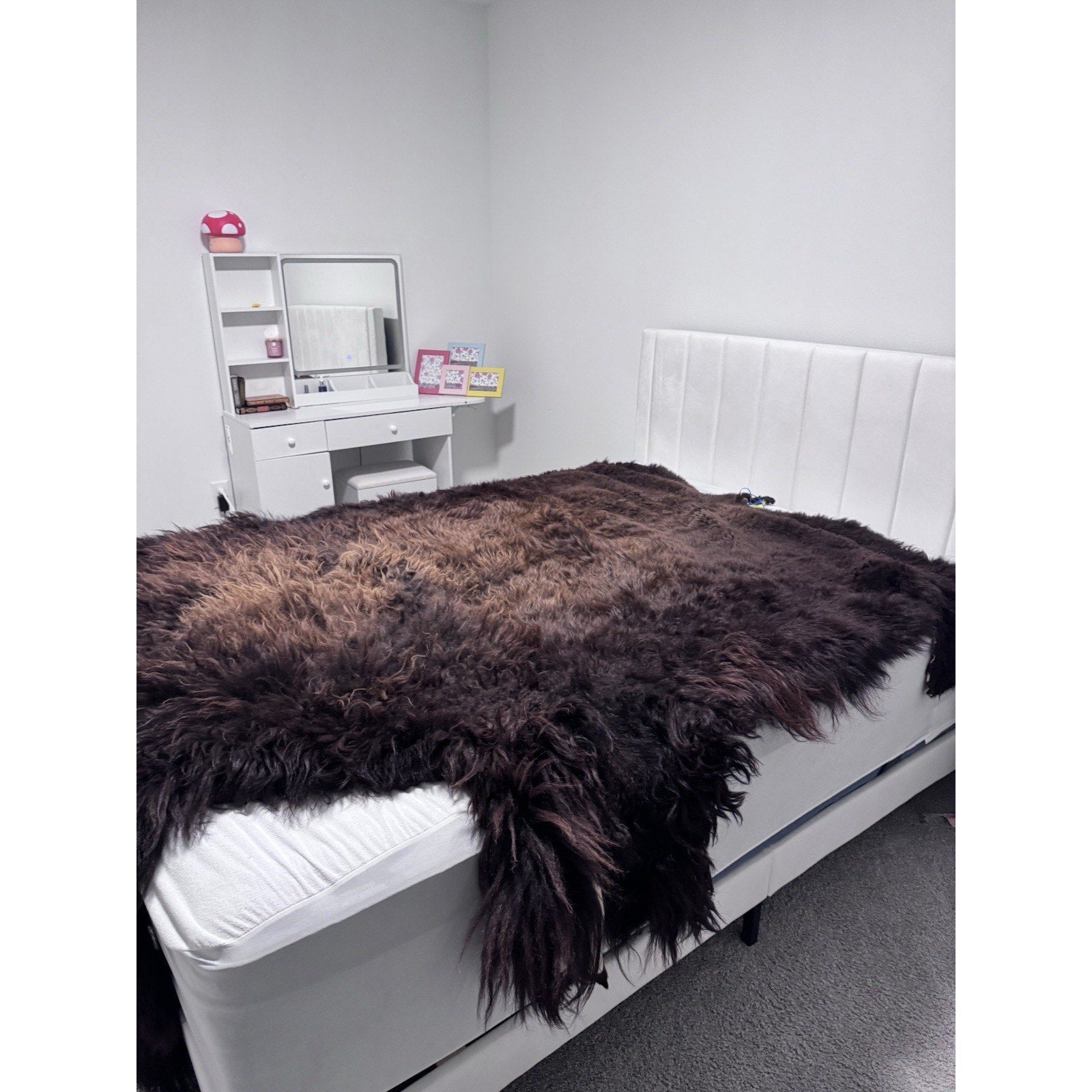 FHGUL1 - Premium Massive XXL bison Hide Rug Taxidermy Fur