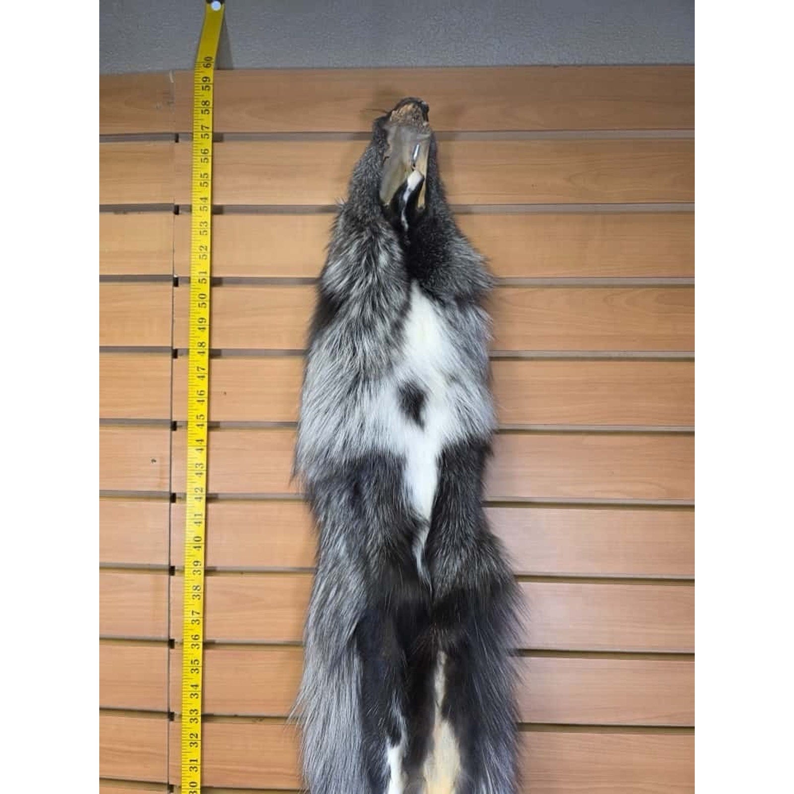 FHCM14 - Gorgeous Ranch Fox Soft Tanned Furs Taxidermy