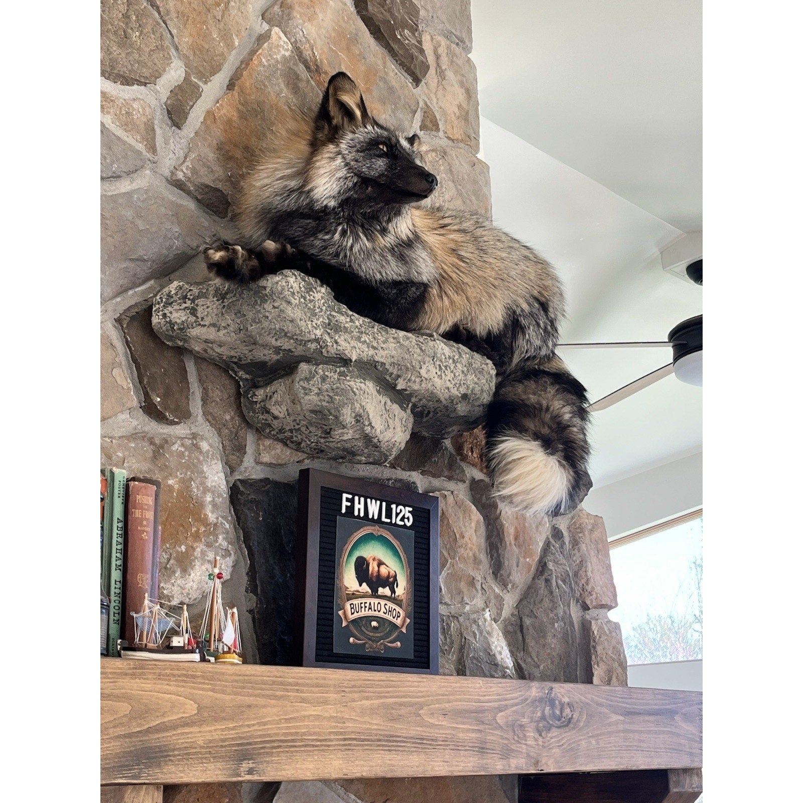 FHWL125 - Ranch Fox Taxidermy Full Body Mount