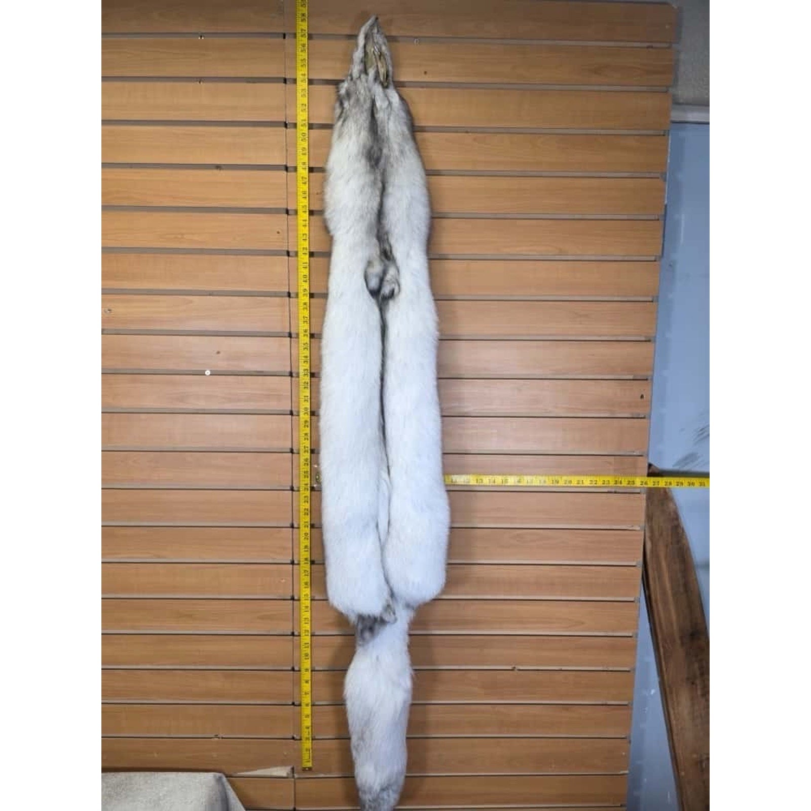 FHCM7- Blue Ranch Fox Soft Tanned Furs Taxidermy