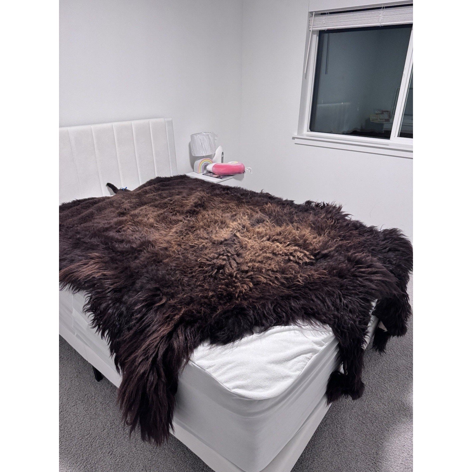 FHGUL1 - Premium Massive XXL bison Hide Rug Taxidermy Fur