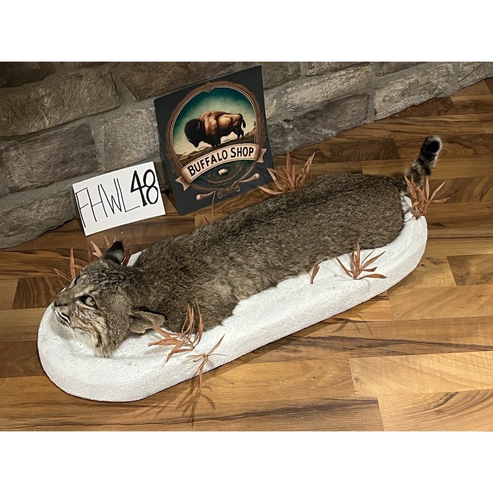 FHWL48 - Bobcat Taxidermy Full Body Mount In Snow.