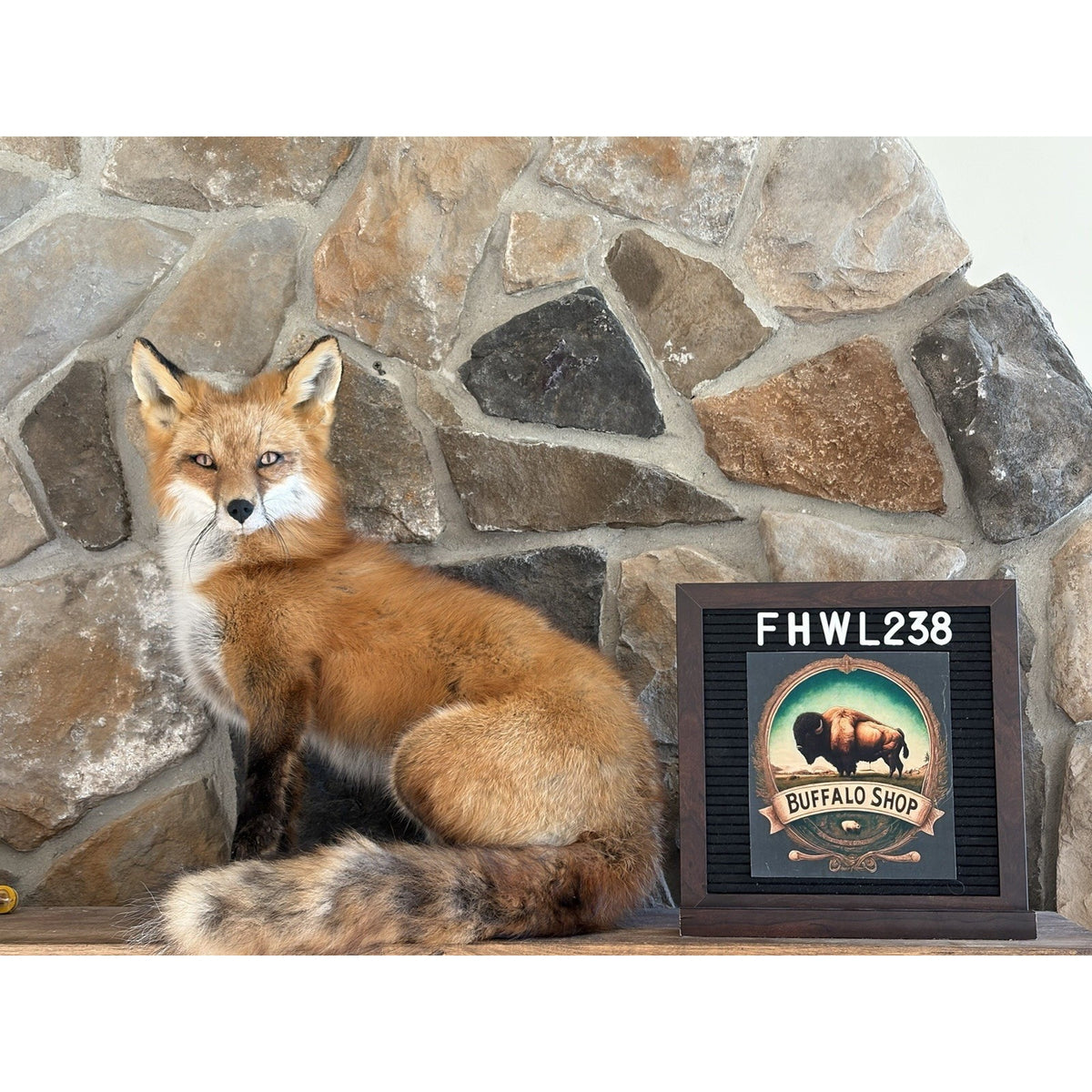 FHWL238 - Red Fox Taxidermy Stripper Dancing Full Body Mount