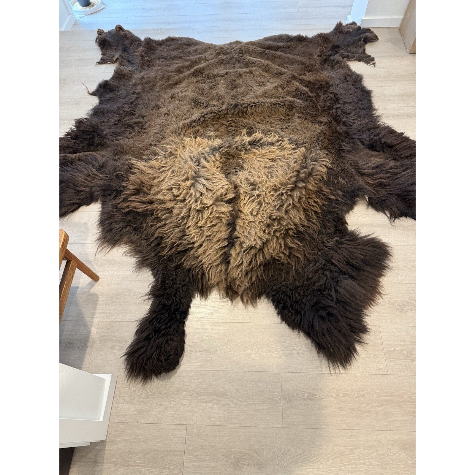 FHGUL5 - Premium Massive XXL bison Hide Rug Taxidermy Fur