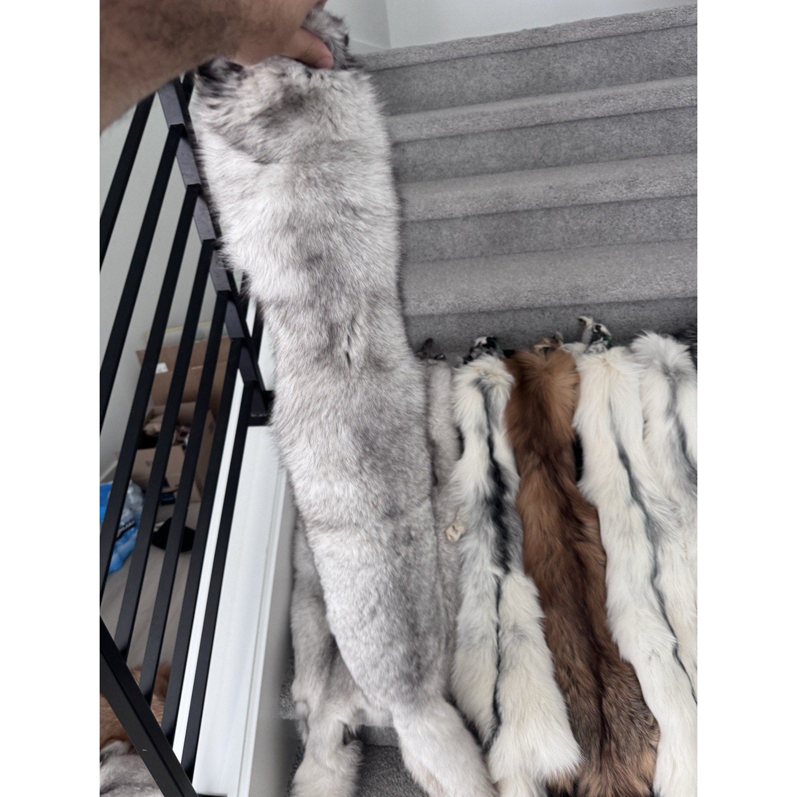 FHJAY793 - Mountable Premium Fox Full Body Hide For Taxidermy