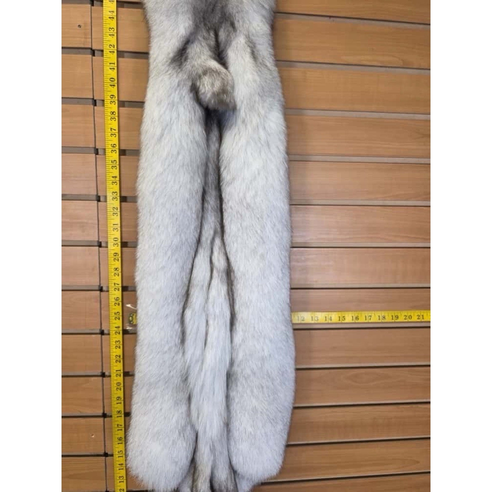 FHCM10 - Soft Tanned Blue Ranch Fox Furs Taxidermy