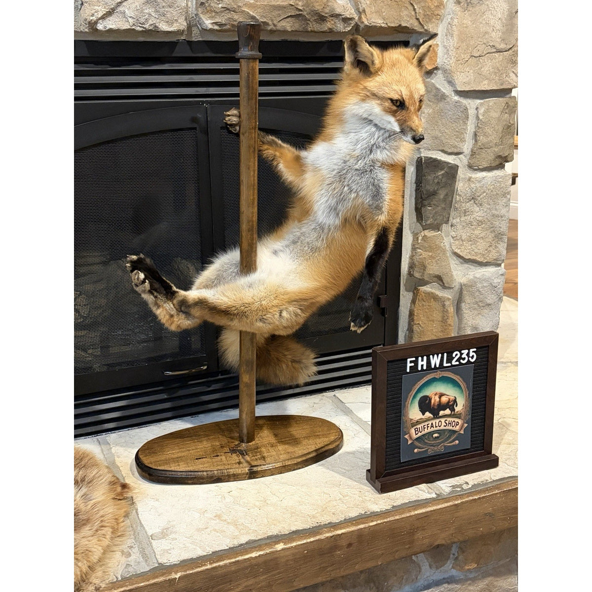 FHWL235 - Red Fox Taxidermy Stripper Dancing Full Body Mount