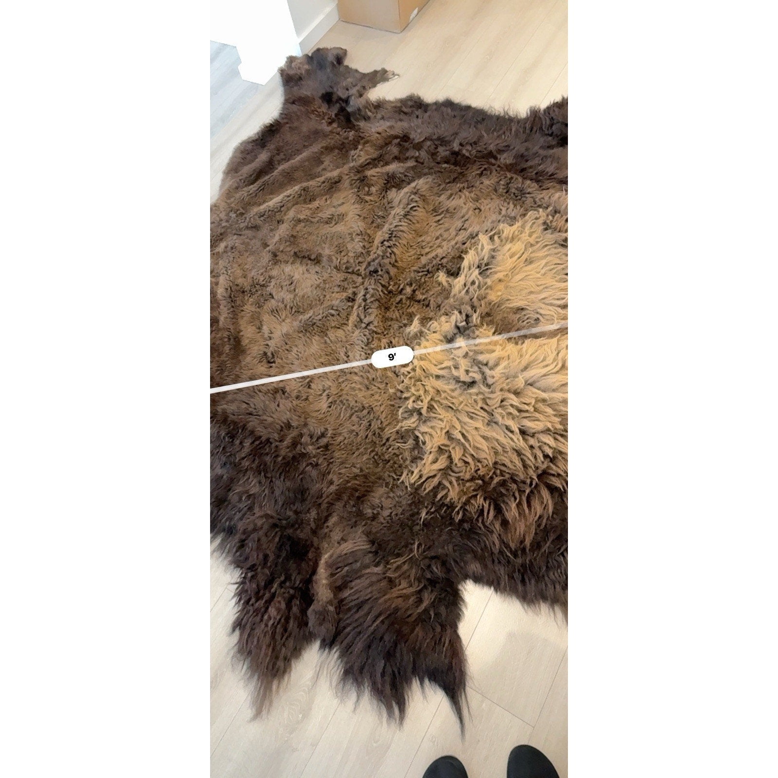 FHGUL5 - Premium Massive XXL bison Hide Rug Taxidermy Fur