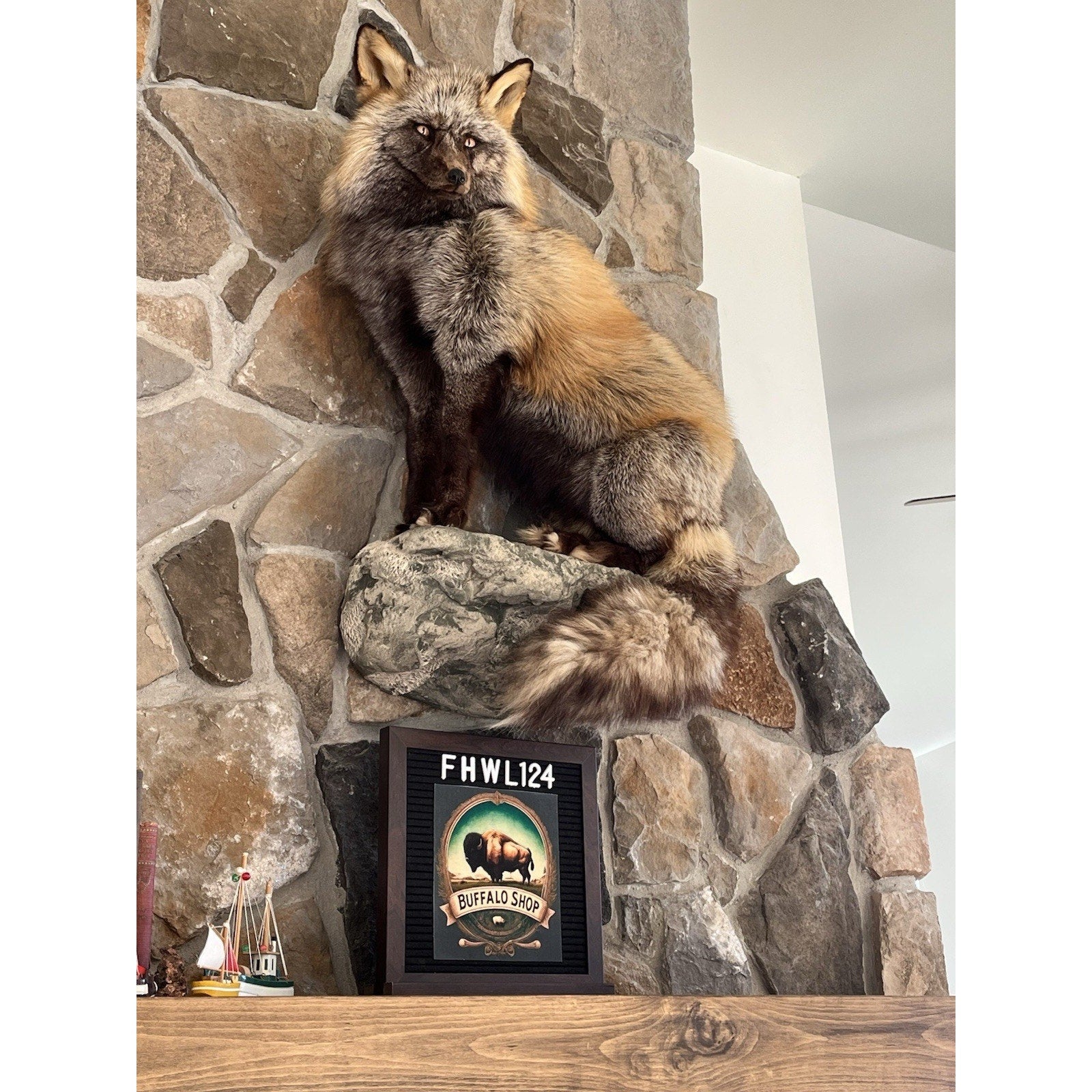 FHWL124 - Ranch Fox Taxidermy Full Body Mount