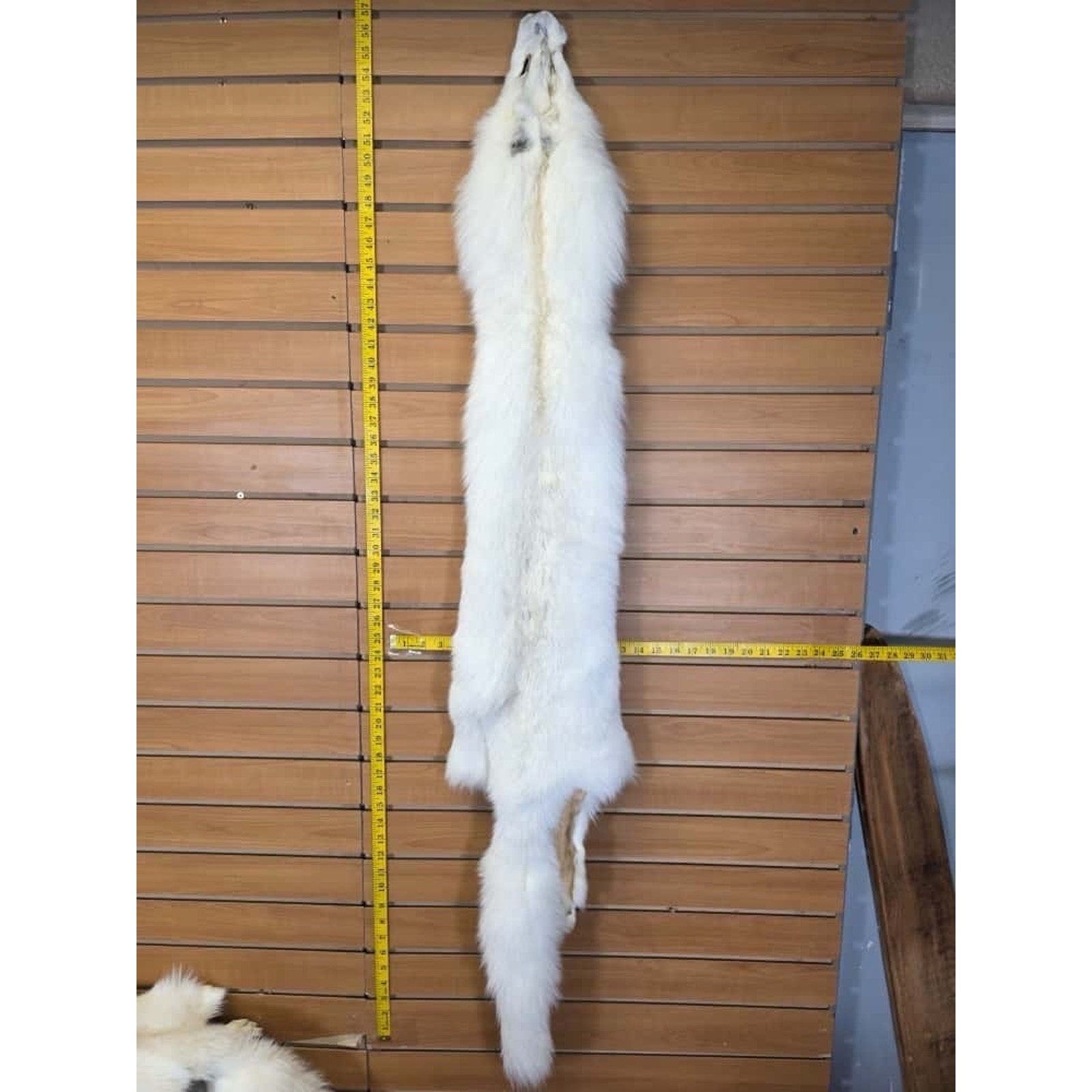 FHCM16 - Gorgeous White Ranch Fox Soft Tanned Fur