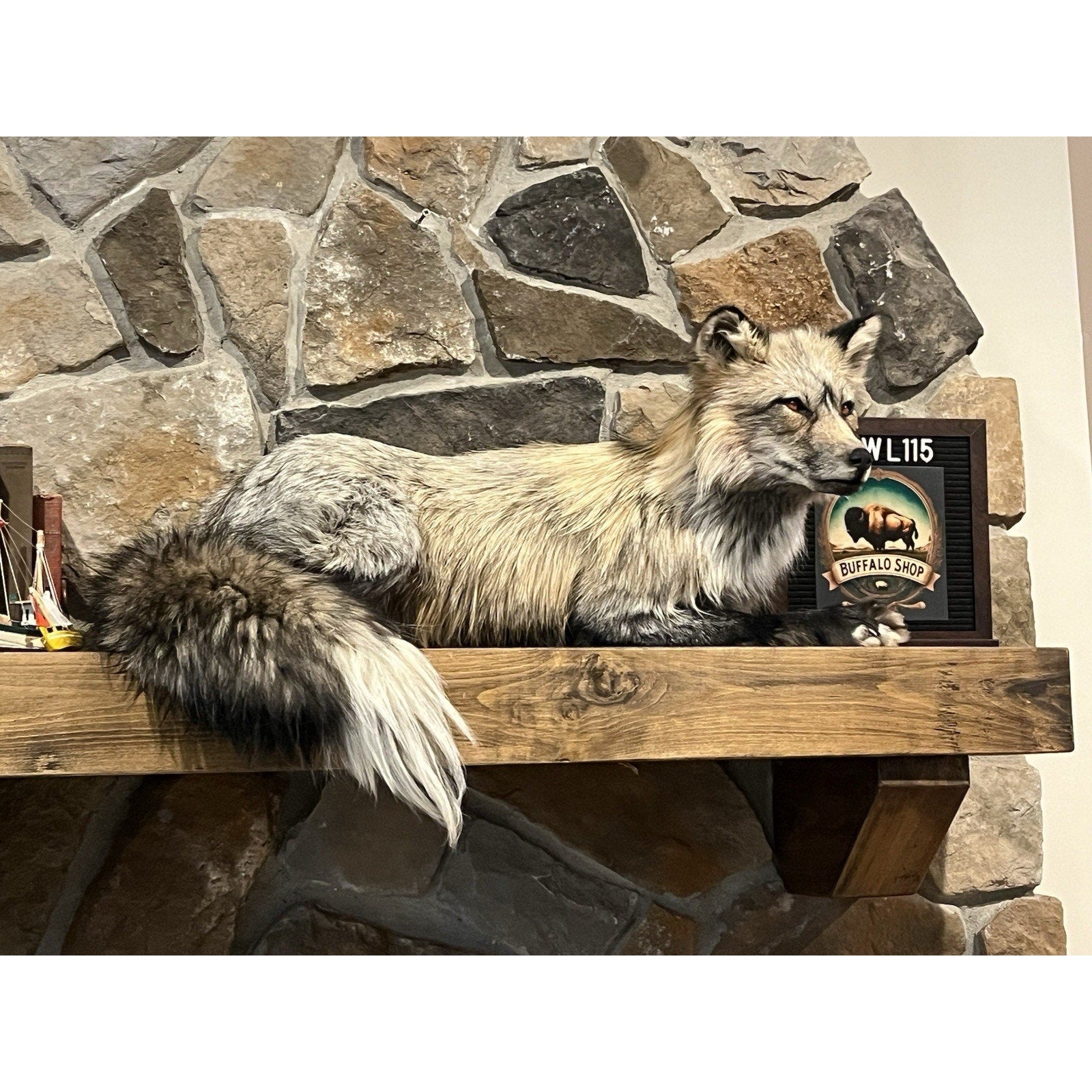 FHWL115- Premium Fox Taxidermy Full Body Mount