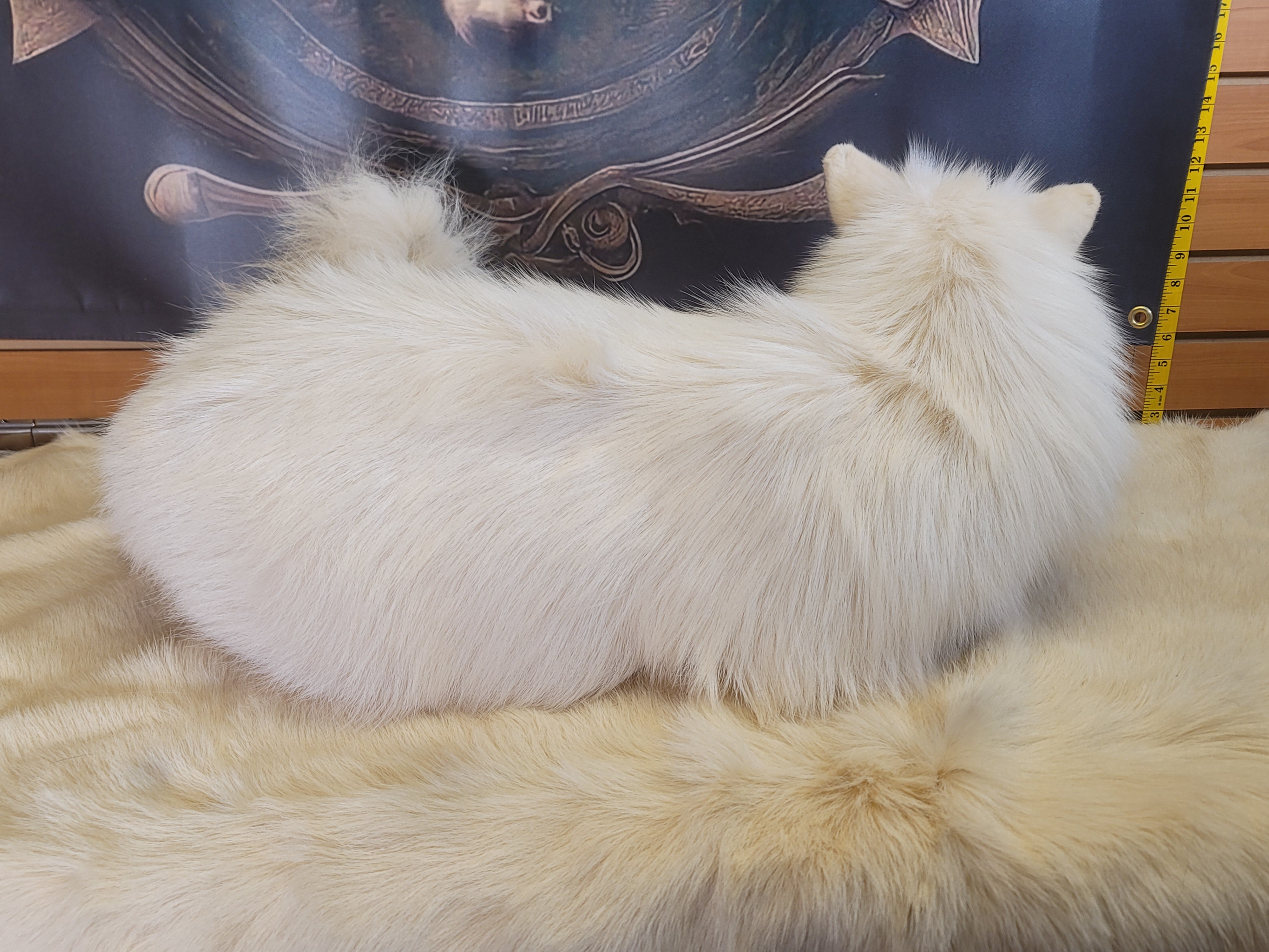 FHFOX300- Fox Softmount Taxidermy