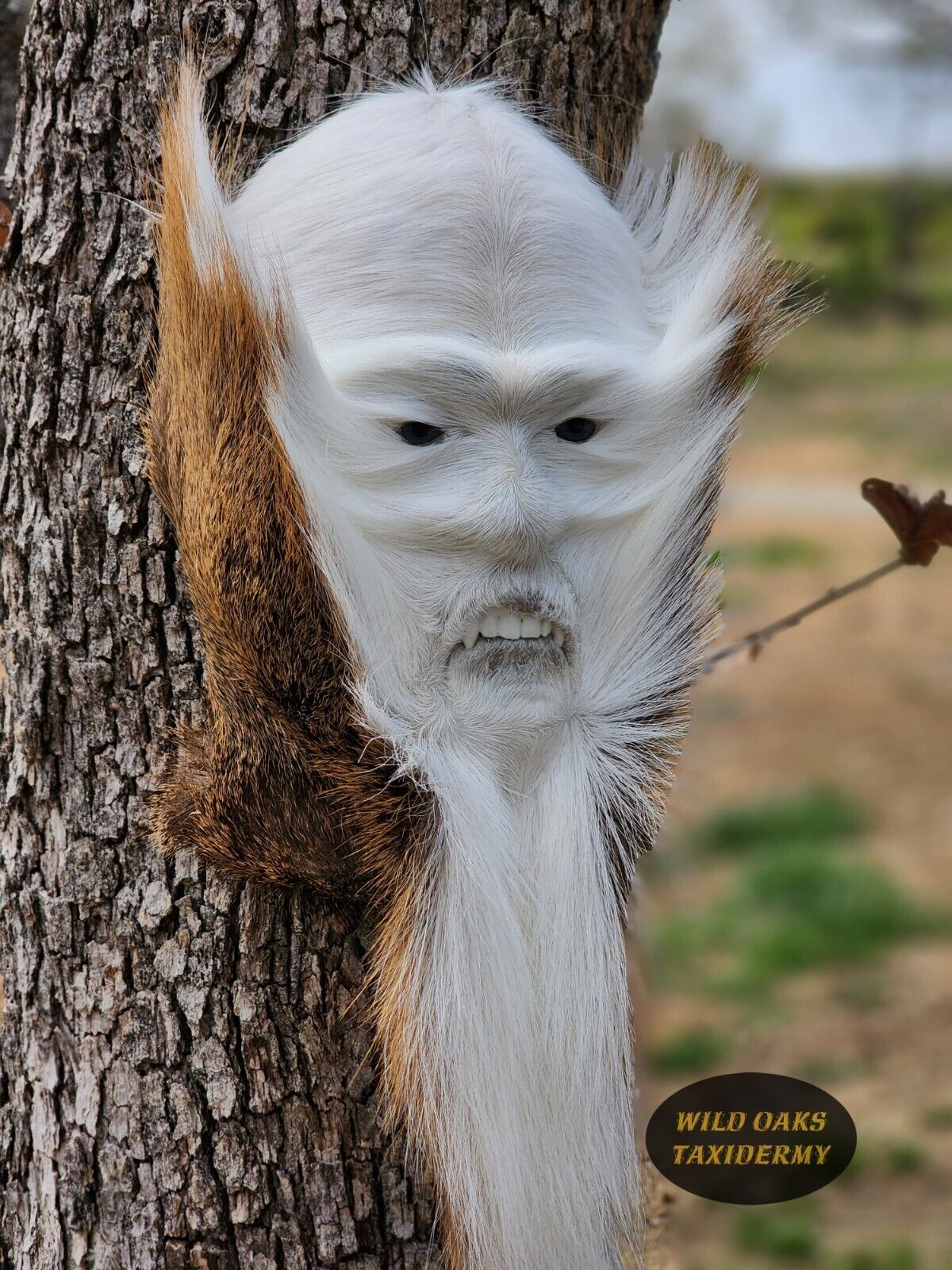 Sasquatch, Assquatch, Whitetail Deer Tail, Swamp Booger, animal art, taxidermy