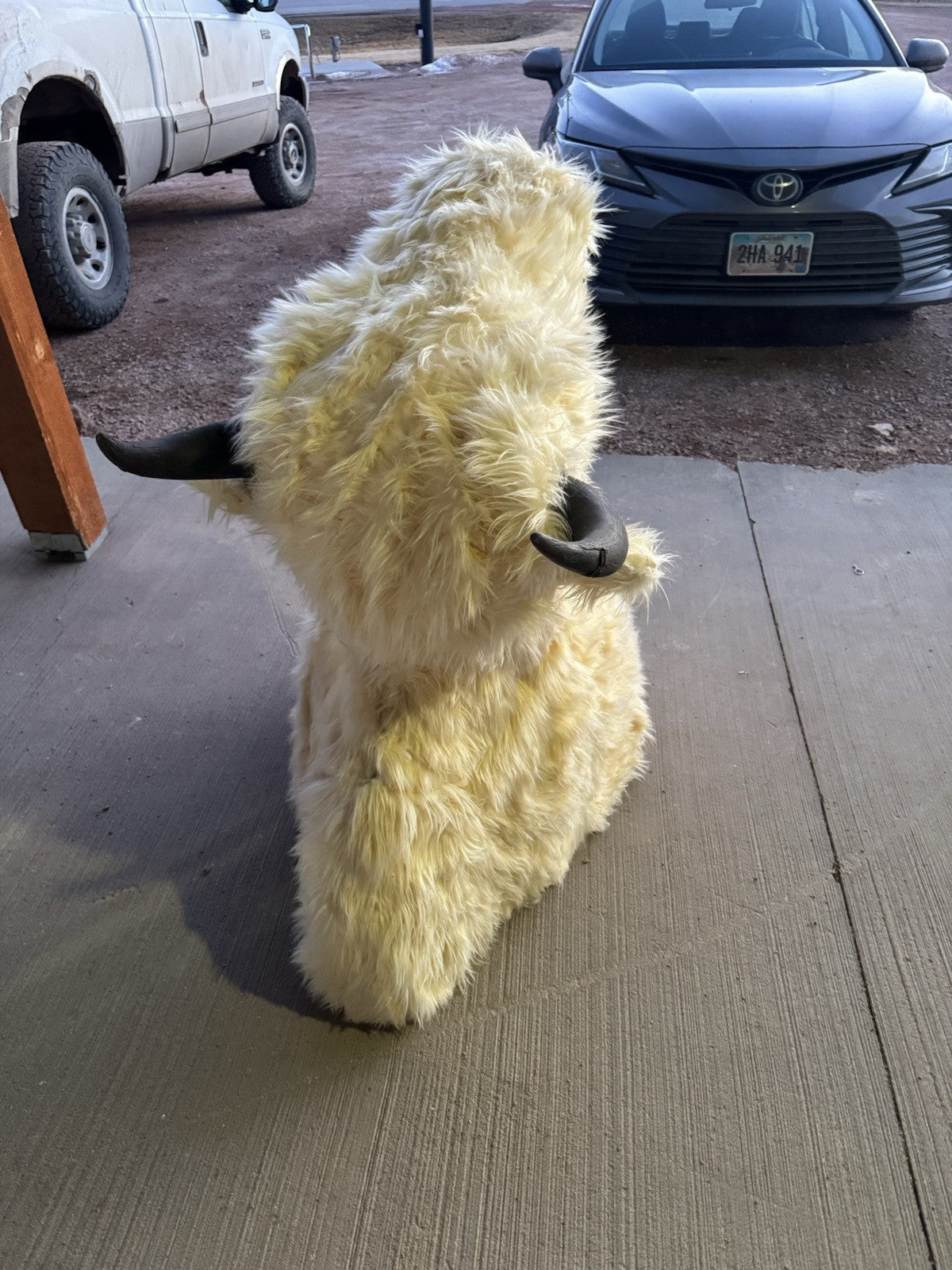 FH165-Faux Reproduction Buffalo / Bison Shoulder Taxidermy Mount )