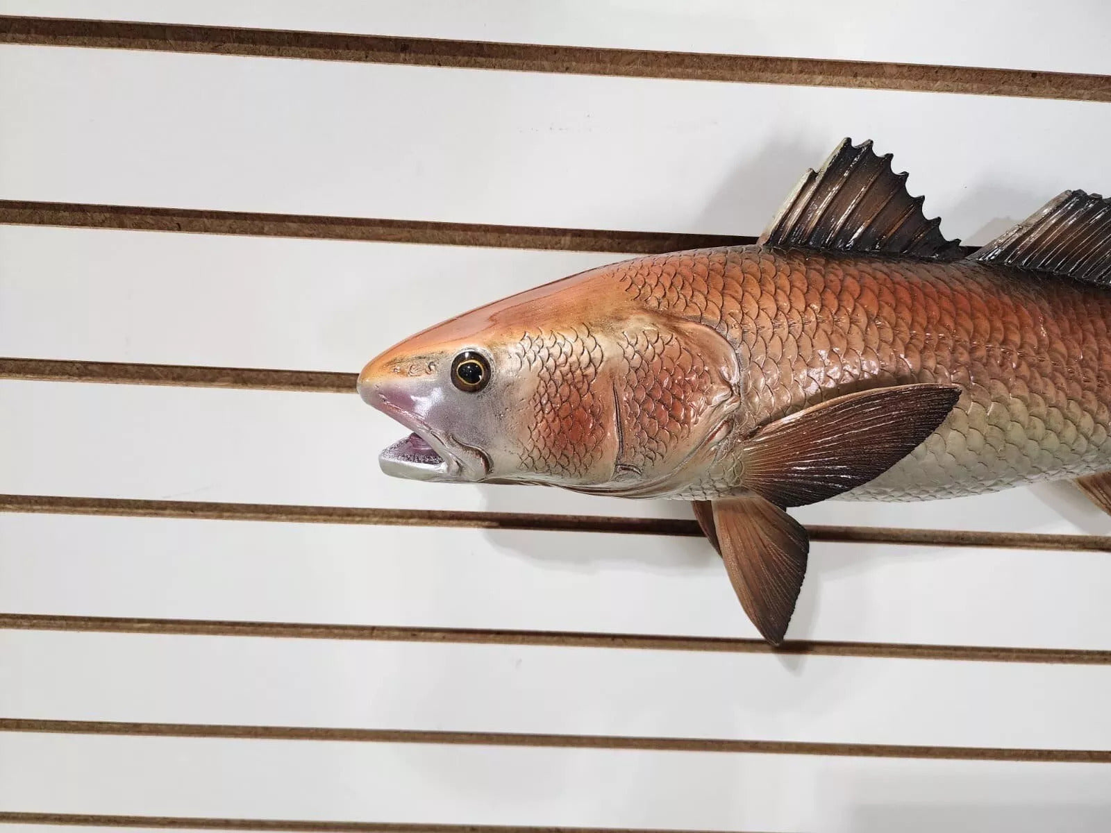 Beautiful Reproduction Redfish Taxidermy Wall Mount Art Wildlife